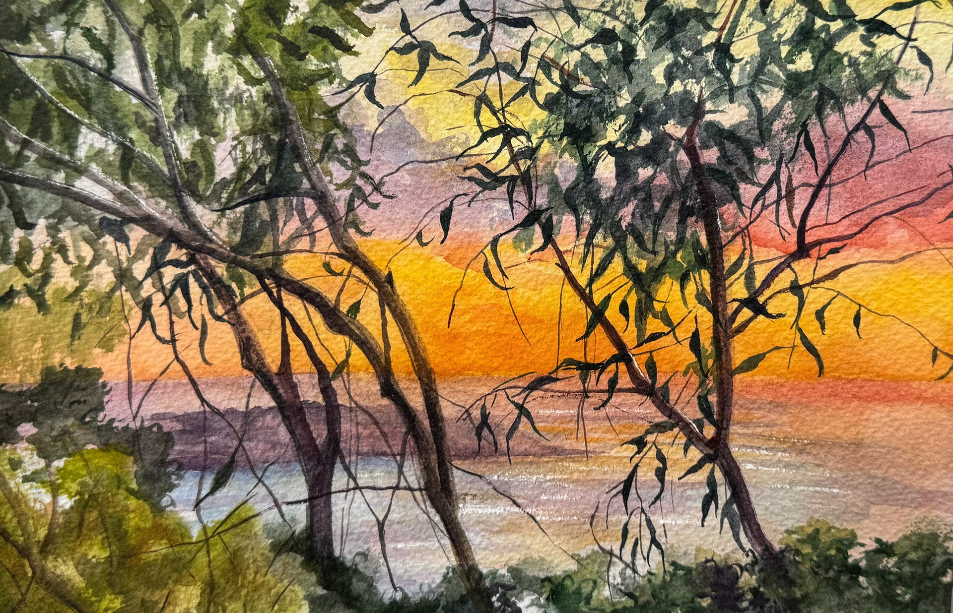 La Jolla Cove, 2025
