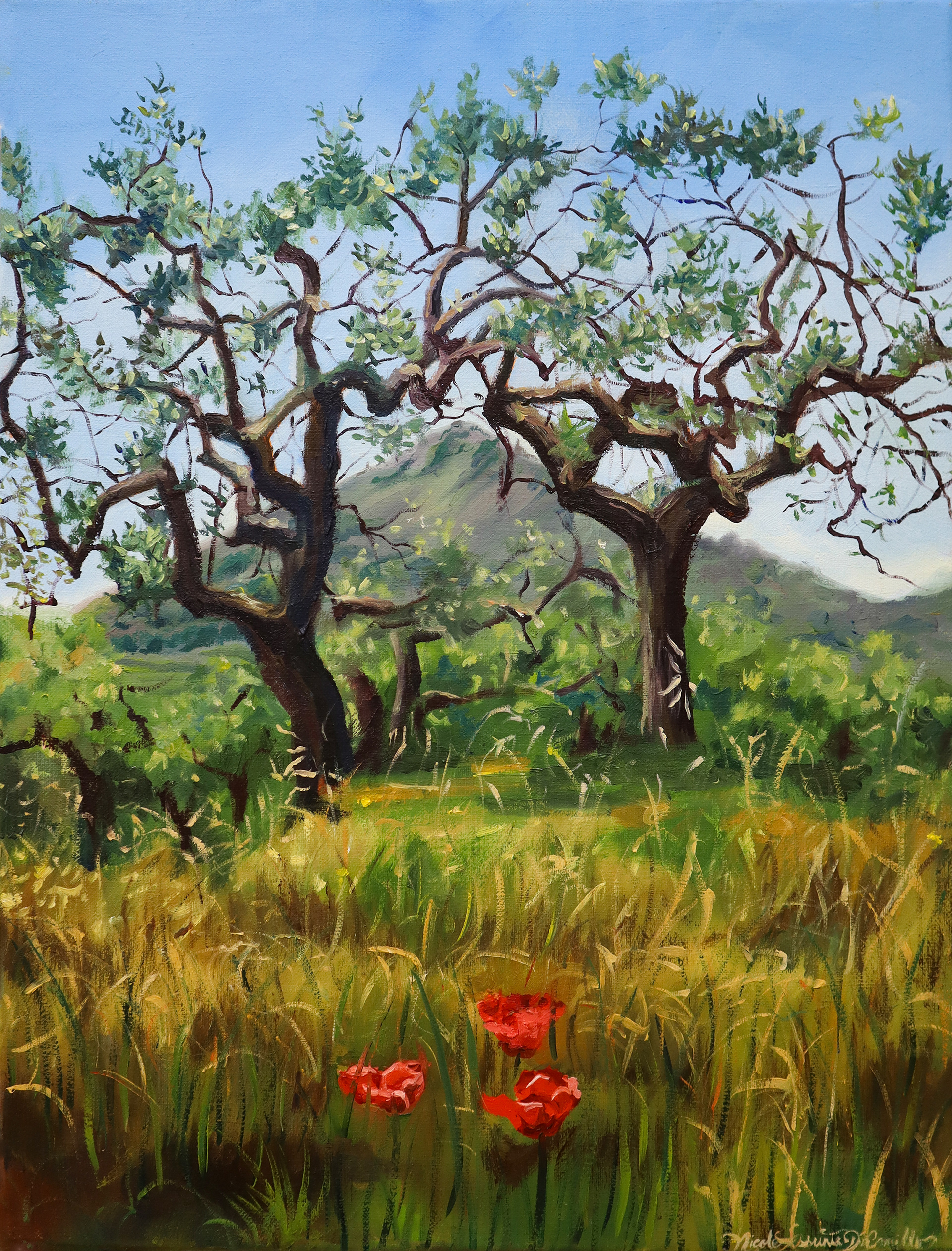 Poppies in a Field, 2024