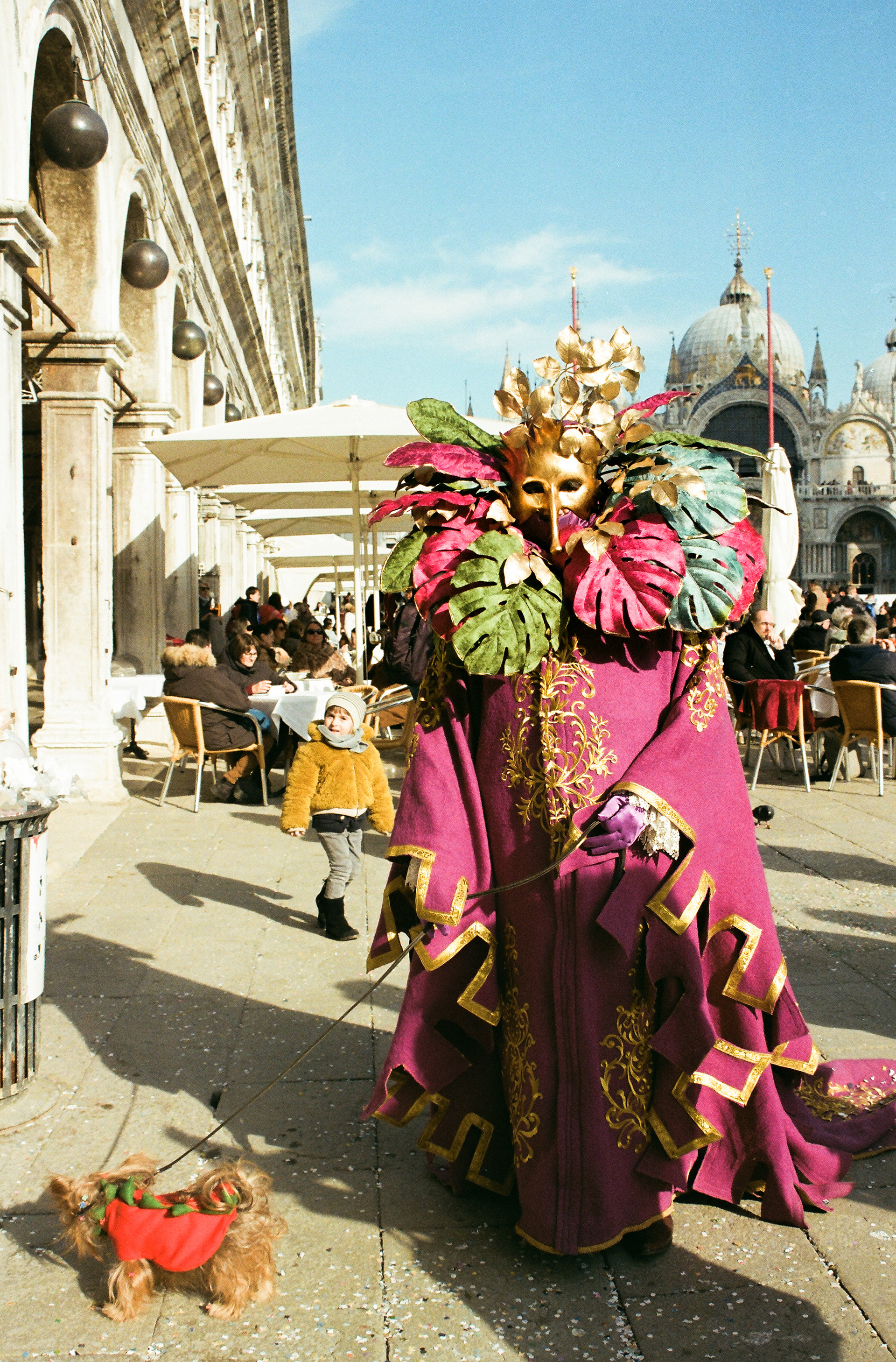 Piazza San Marco, Venezia, 2023