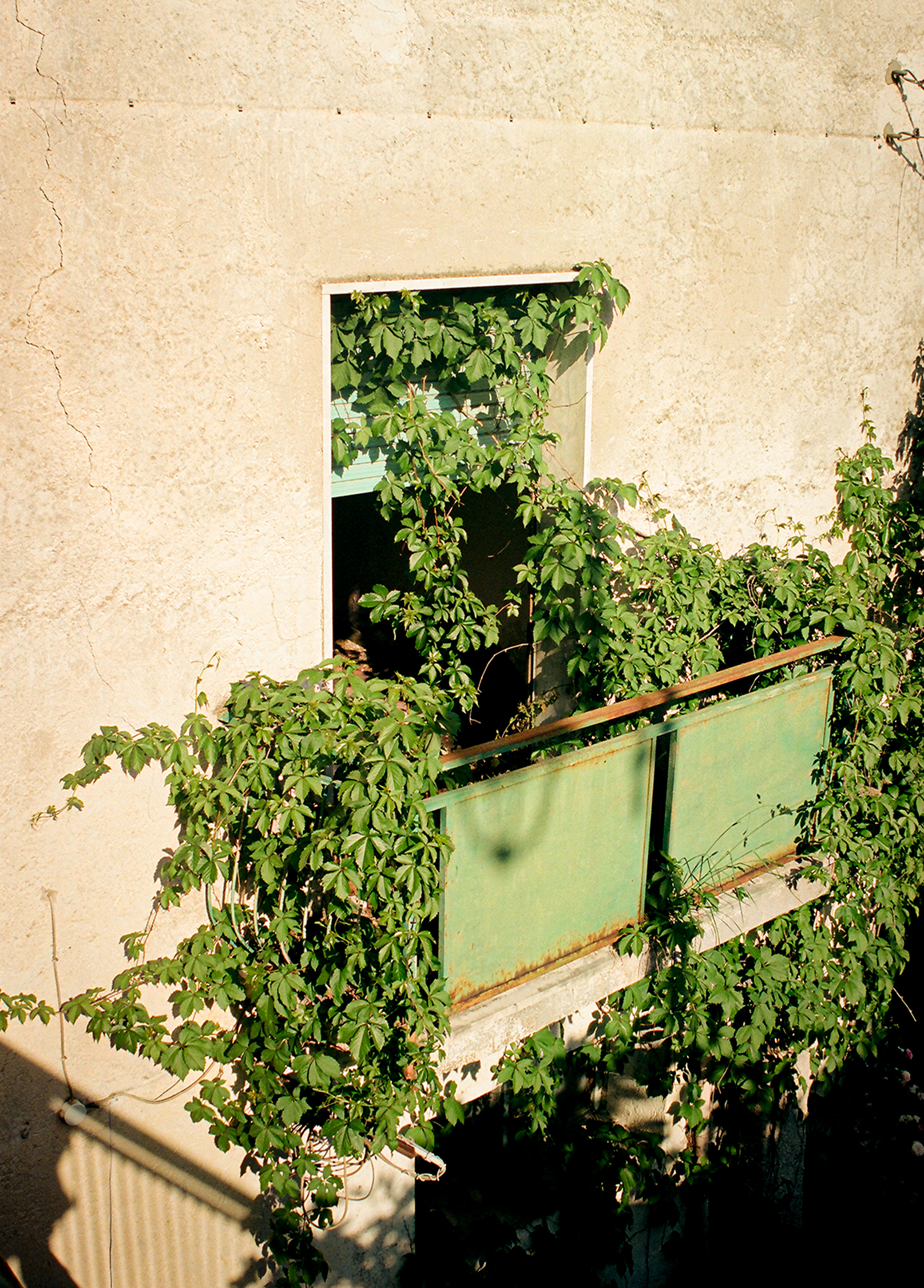Il Balcone Abbandonato, San Vittore del Lazio, 2023