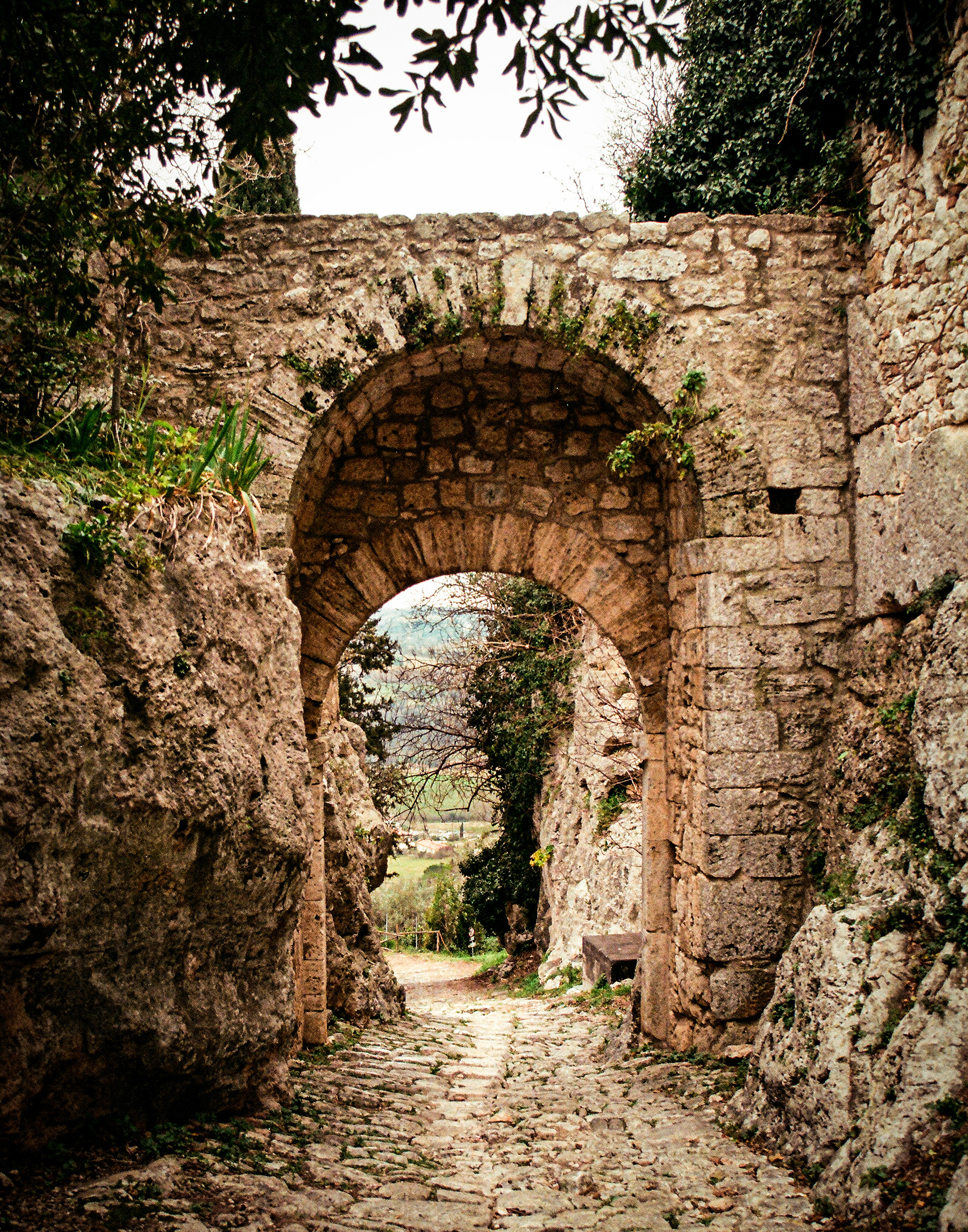 Porta Romana, Saturnia, 2023