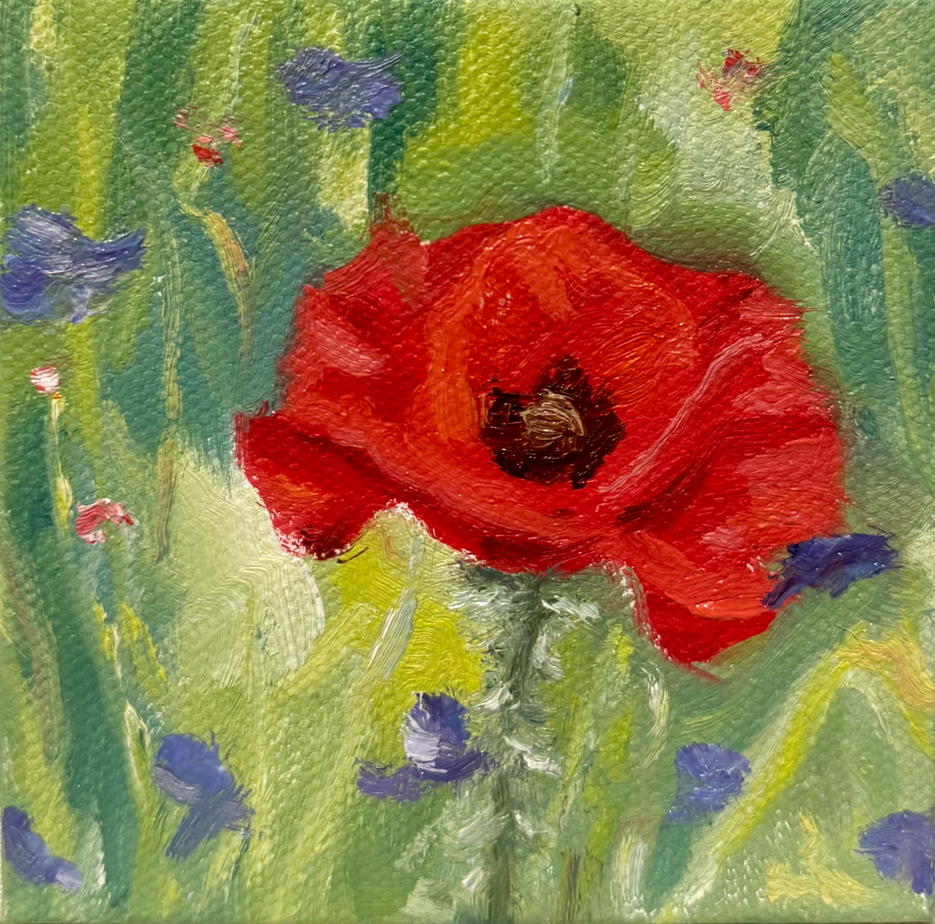 Poppy, 2025