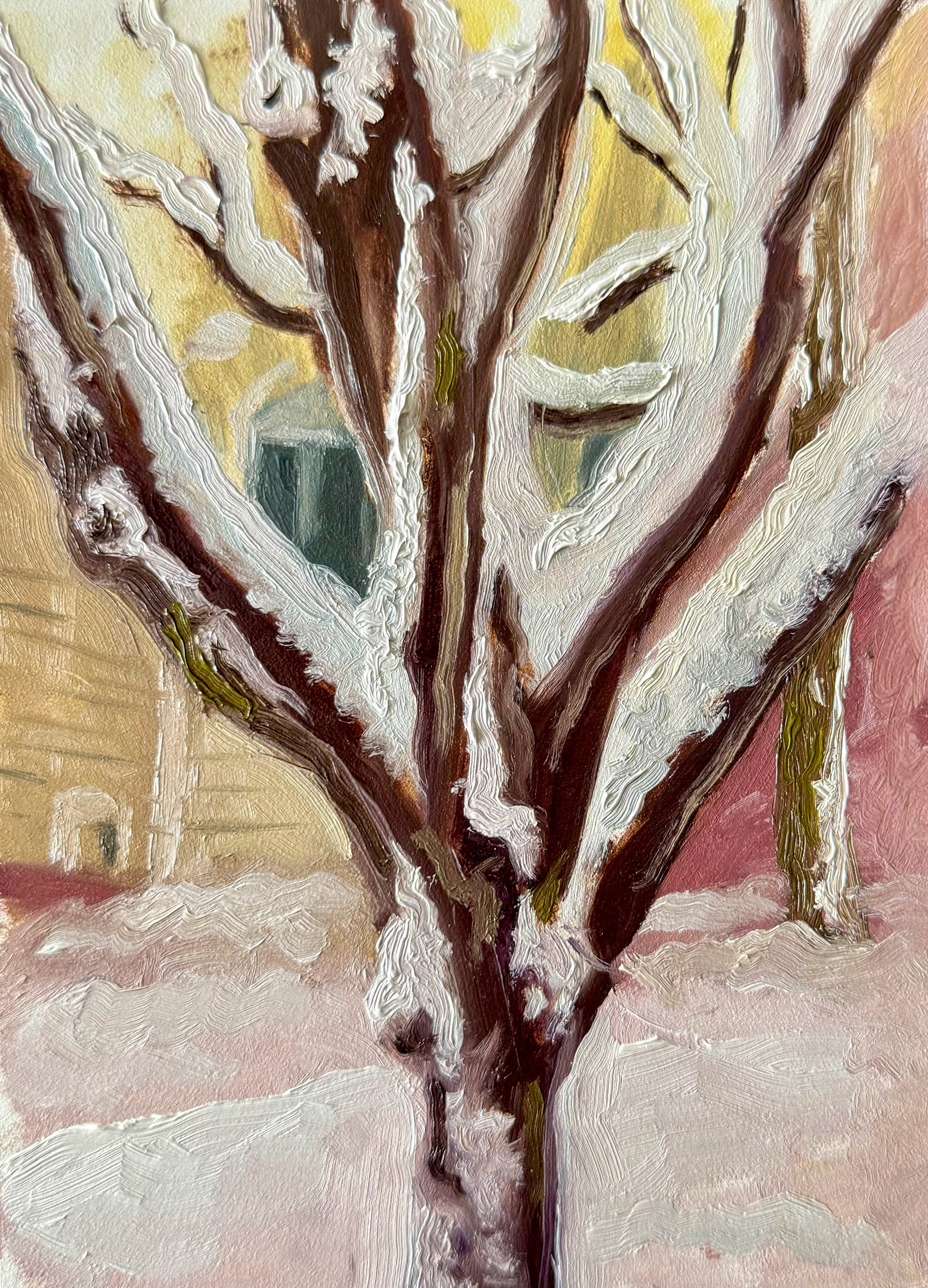 Snow-covered Tree in Brooklyn, 2026
