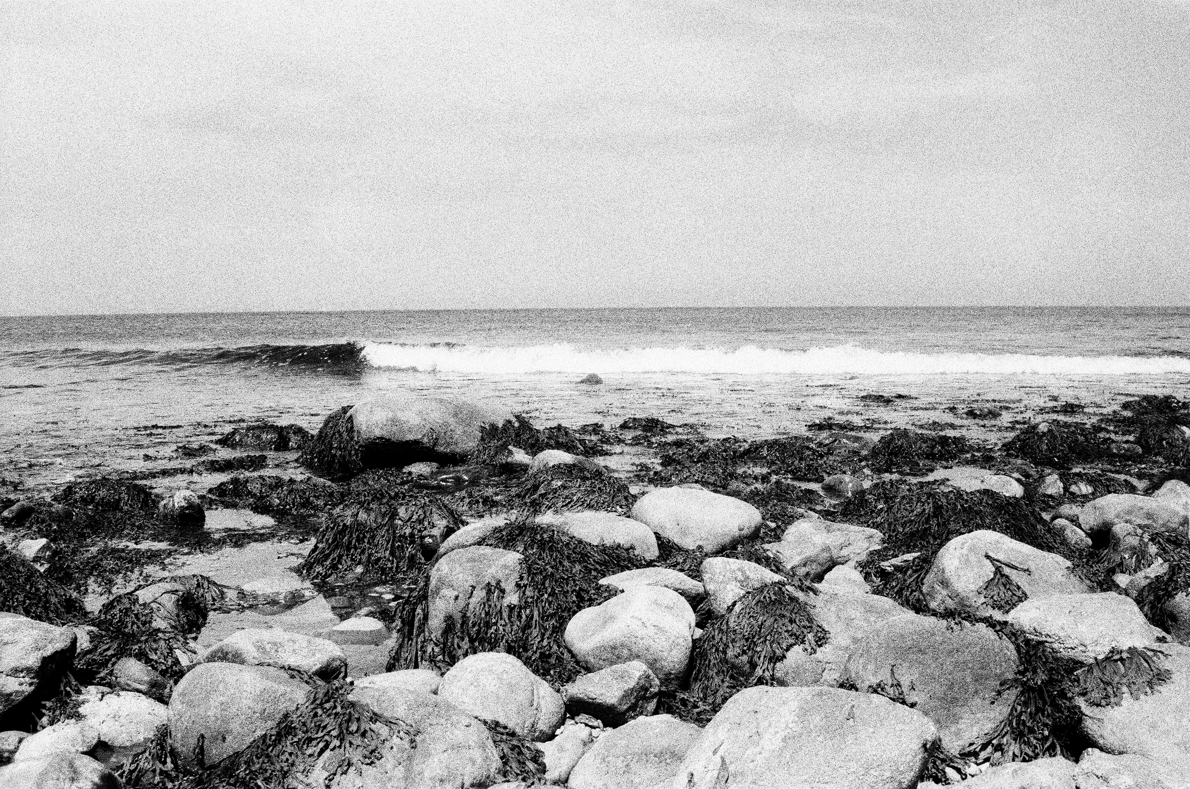 Low Tide, Montauk, 2022