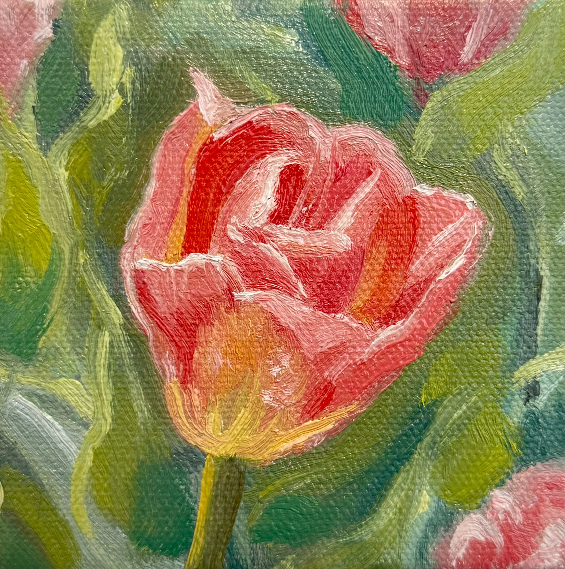 Tulip, 2025