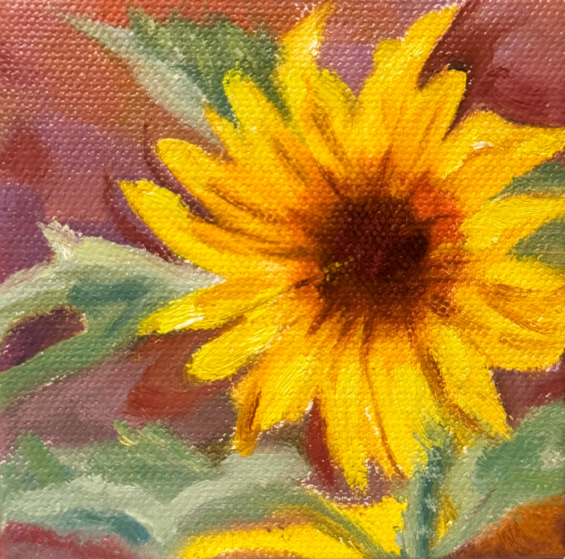 Sunflower, 2025
