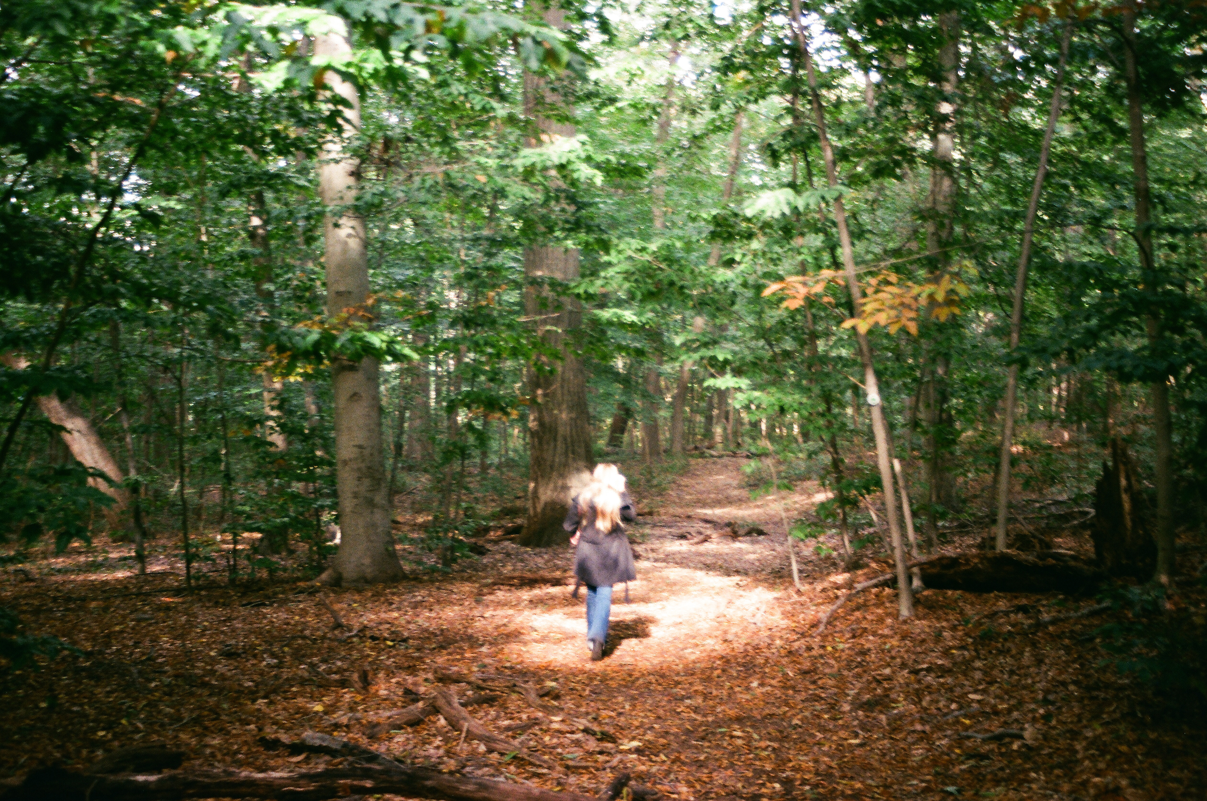 God's Light, Forest Park, 2023