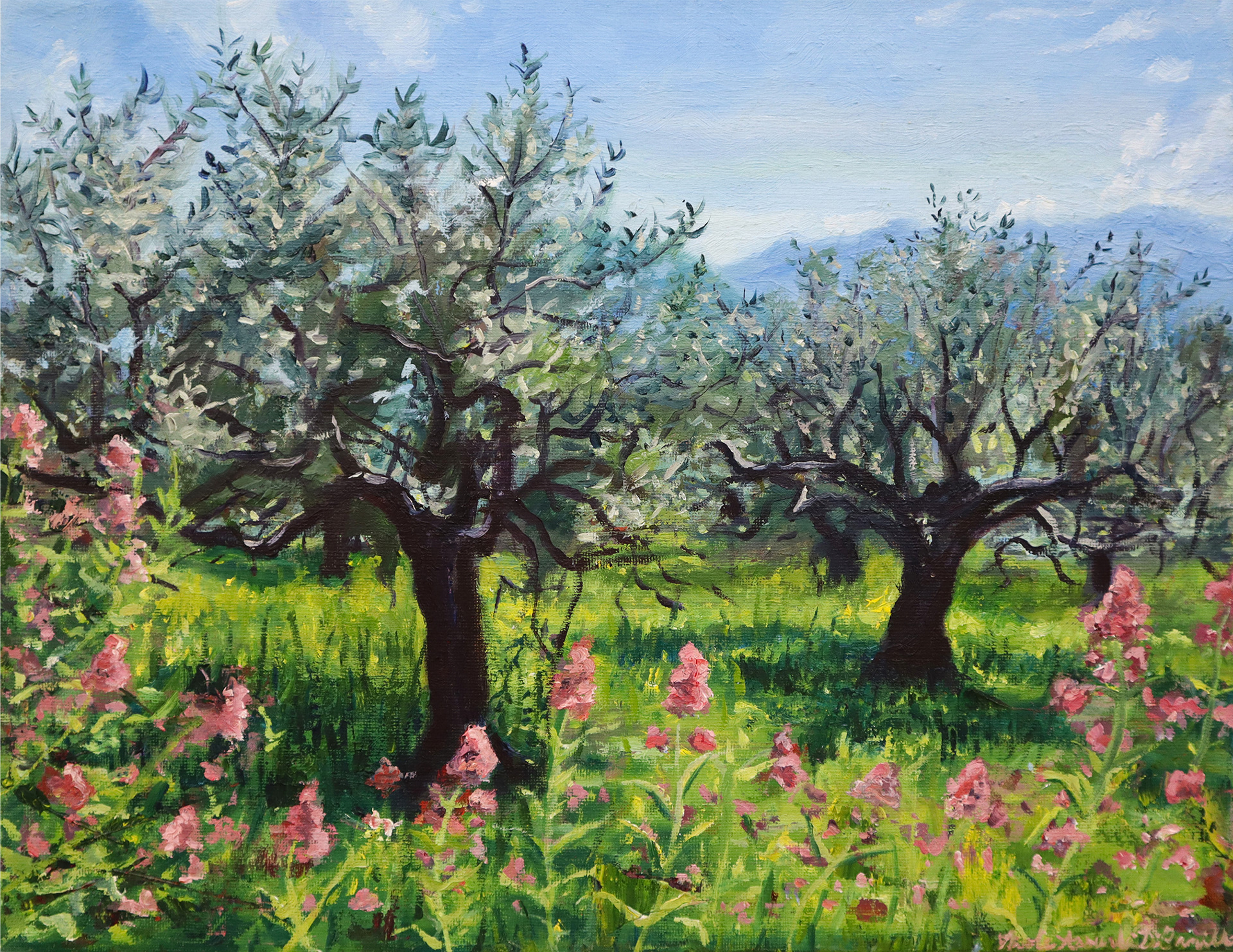 The Olive Grotto, 2024