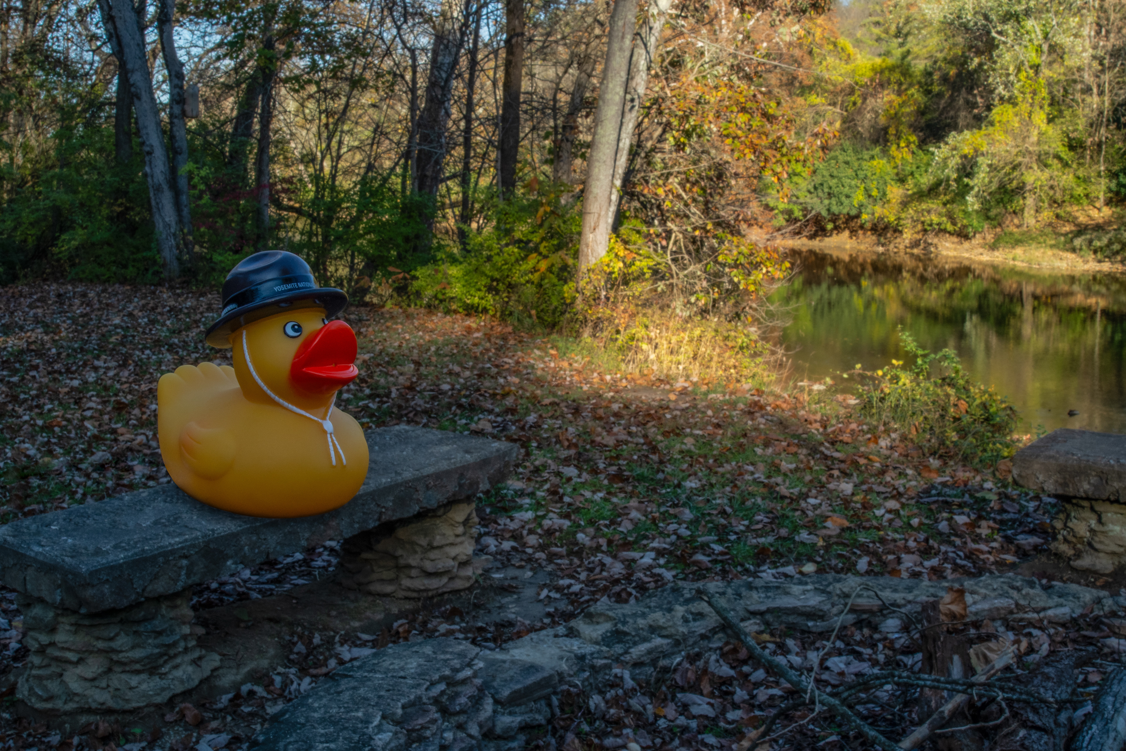 Smokey the Duck