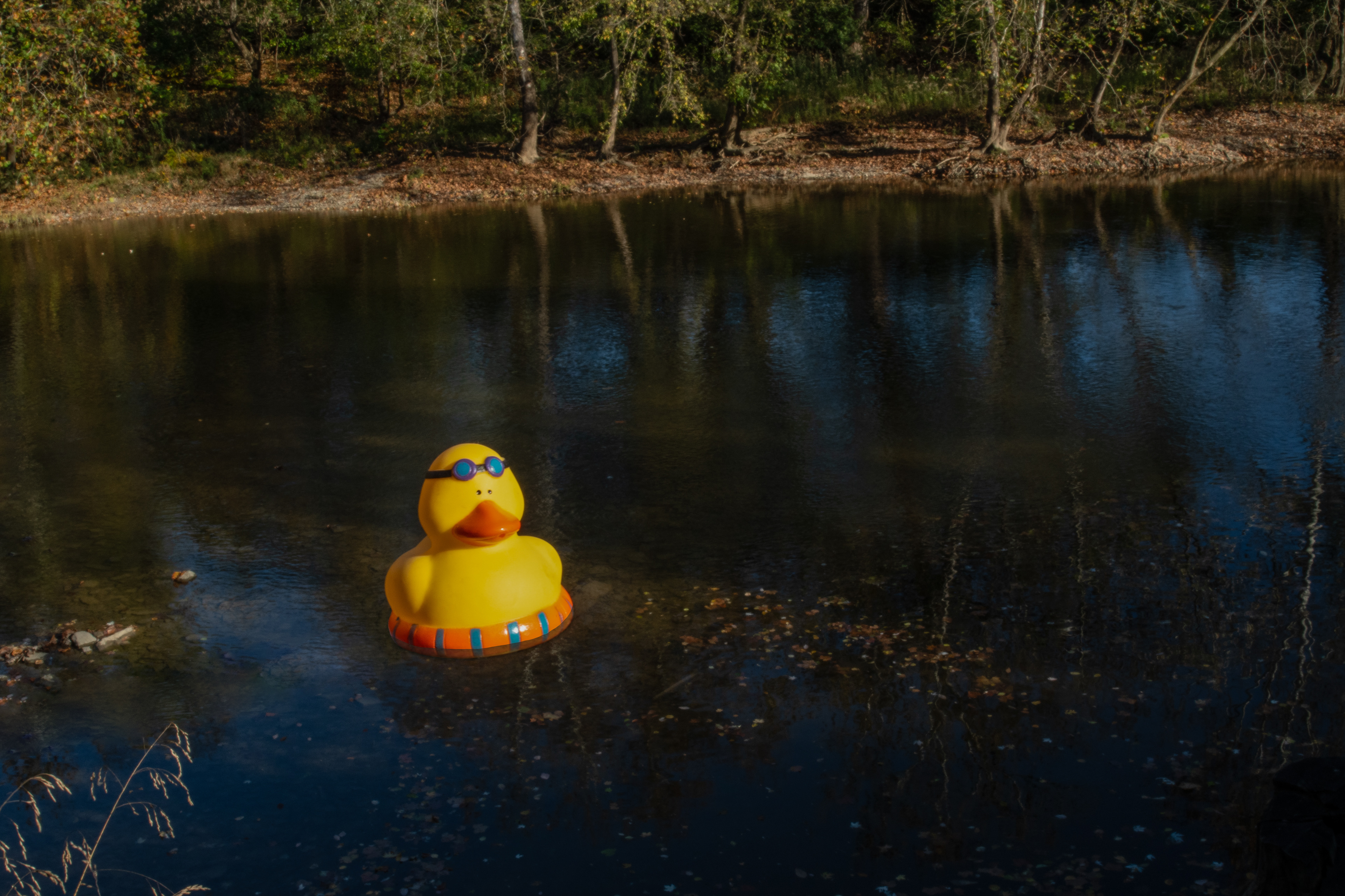 Wading