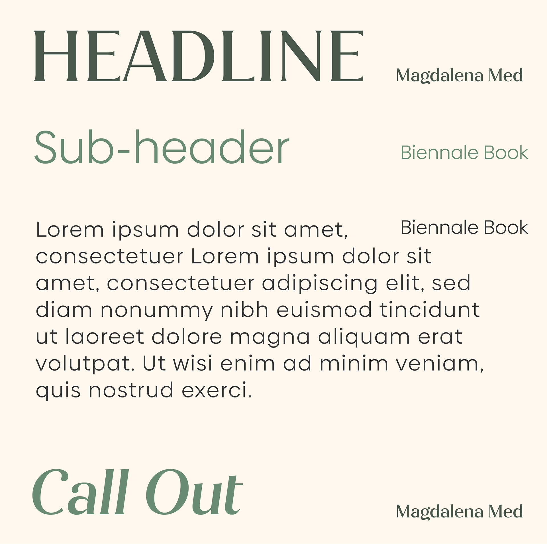 Brand Guide - Typography
