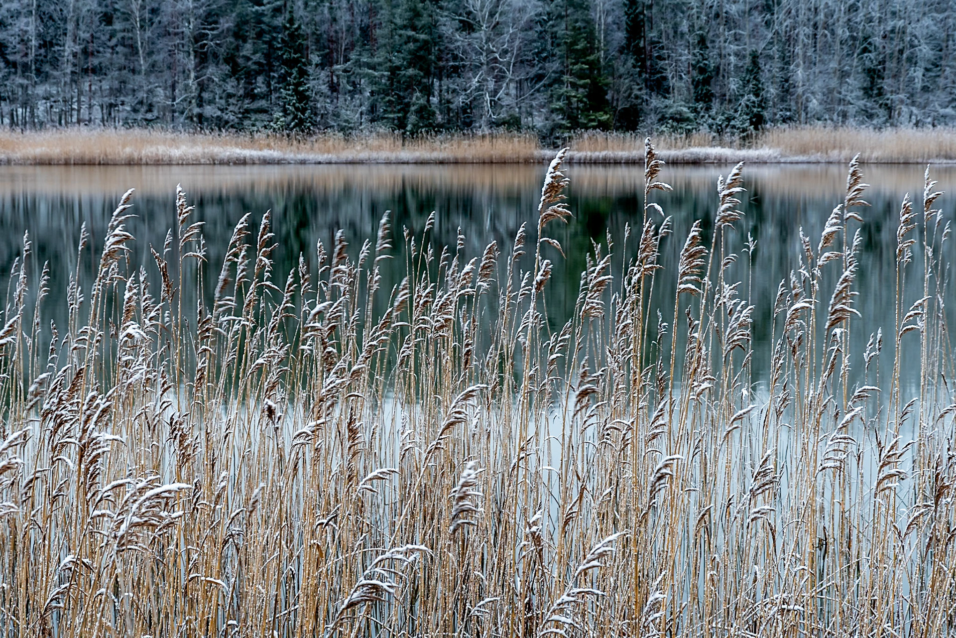Roslagen, Sweden, December 2020