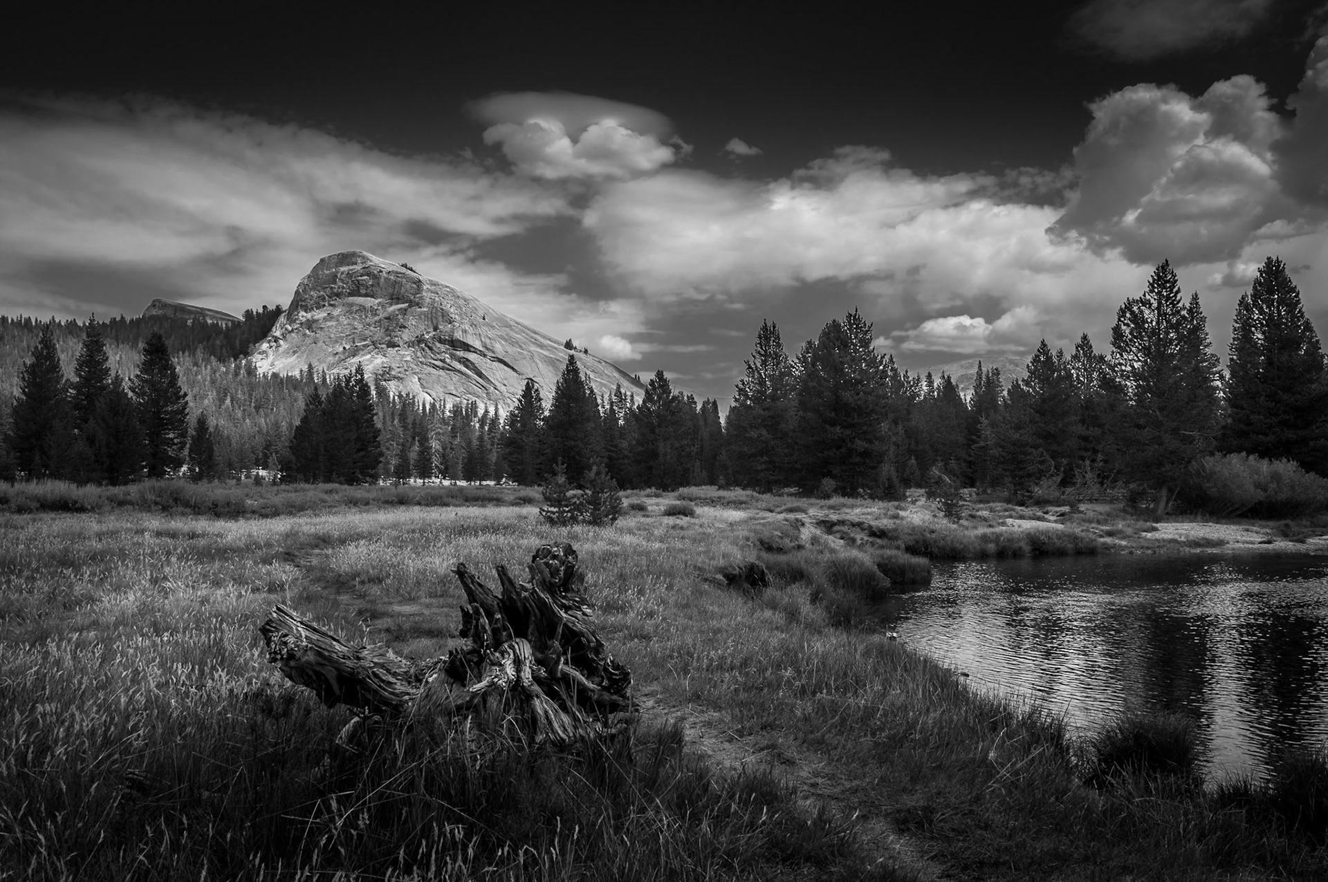 Tuolumne Meadows, Yosemite, CA, USA, August 2016