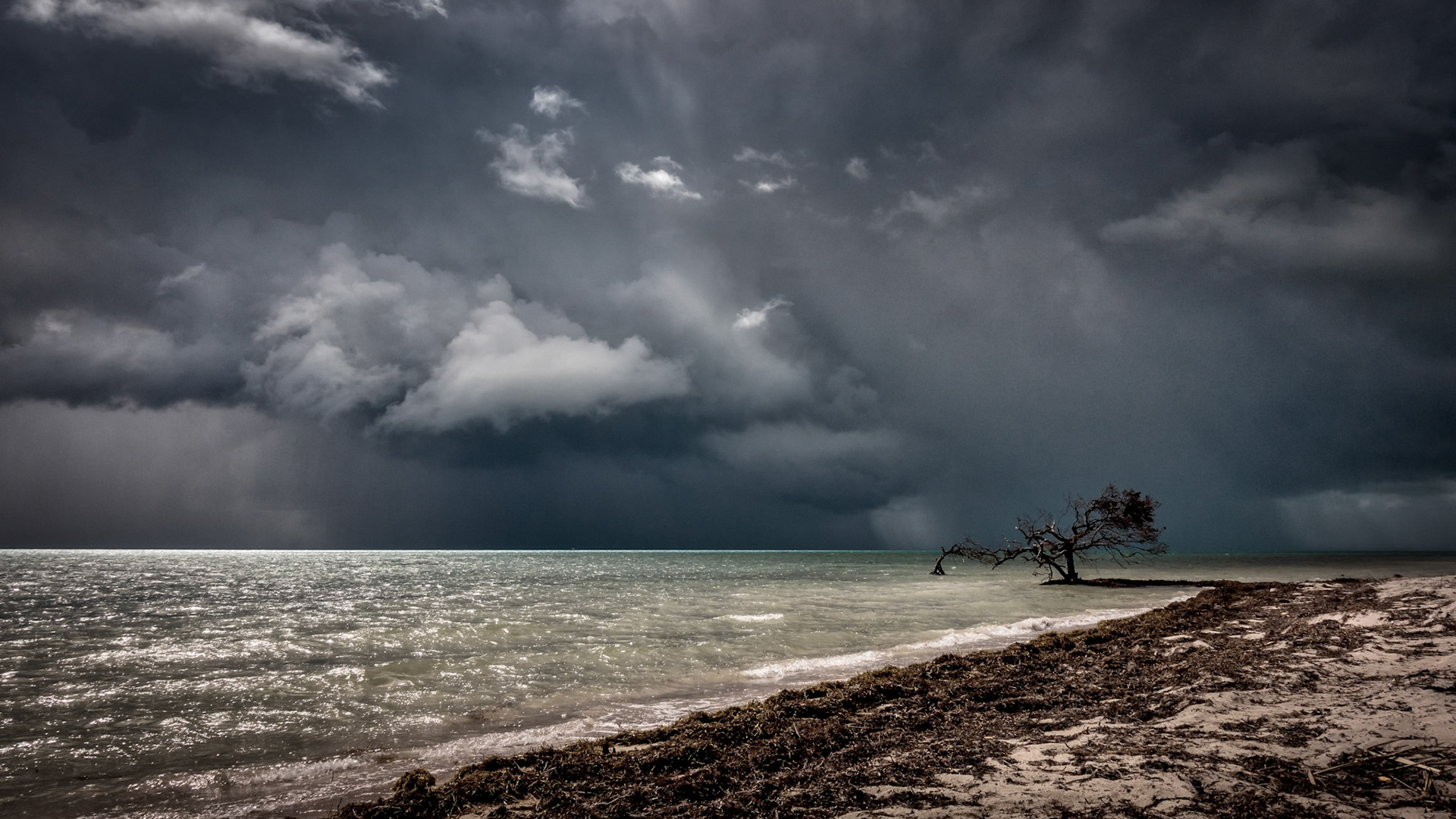 Florida, USA, Oct 2017