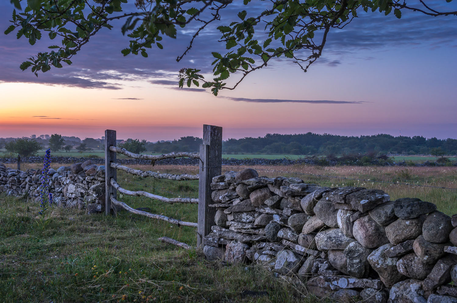 Gotland, Sweden, June 2015