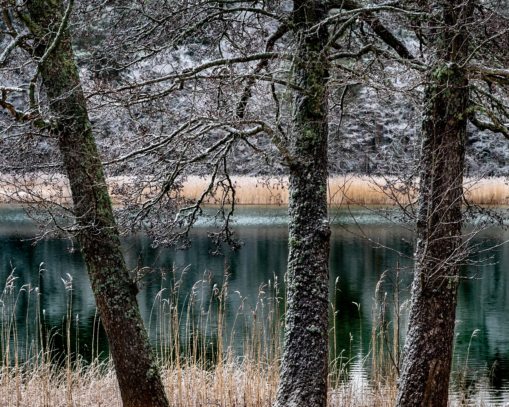 Roslagen, Sweden, December 2020