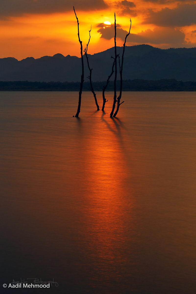 Rawal dam