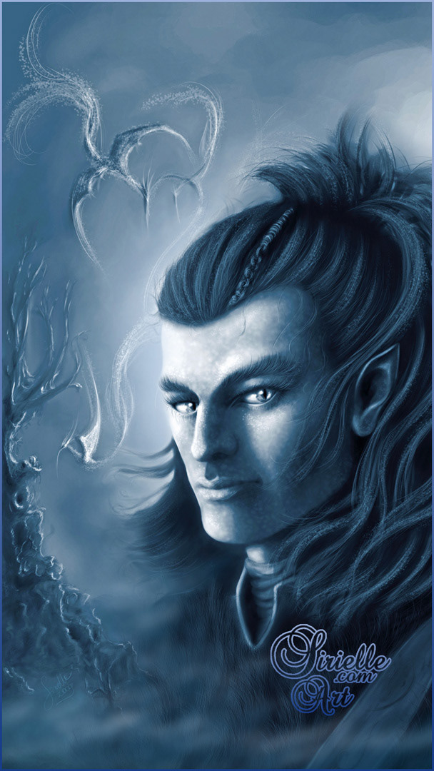 Wild Elf hunter (blue1 closeup) (2008/2009)