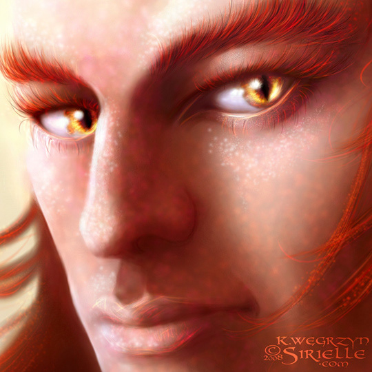 Wild Elf hunter (closeup) (2008)