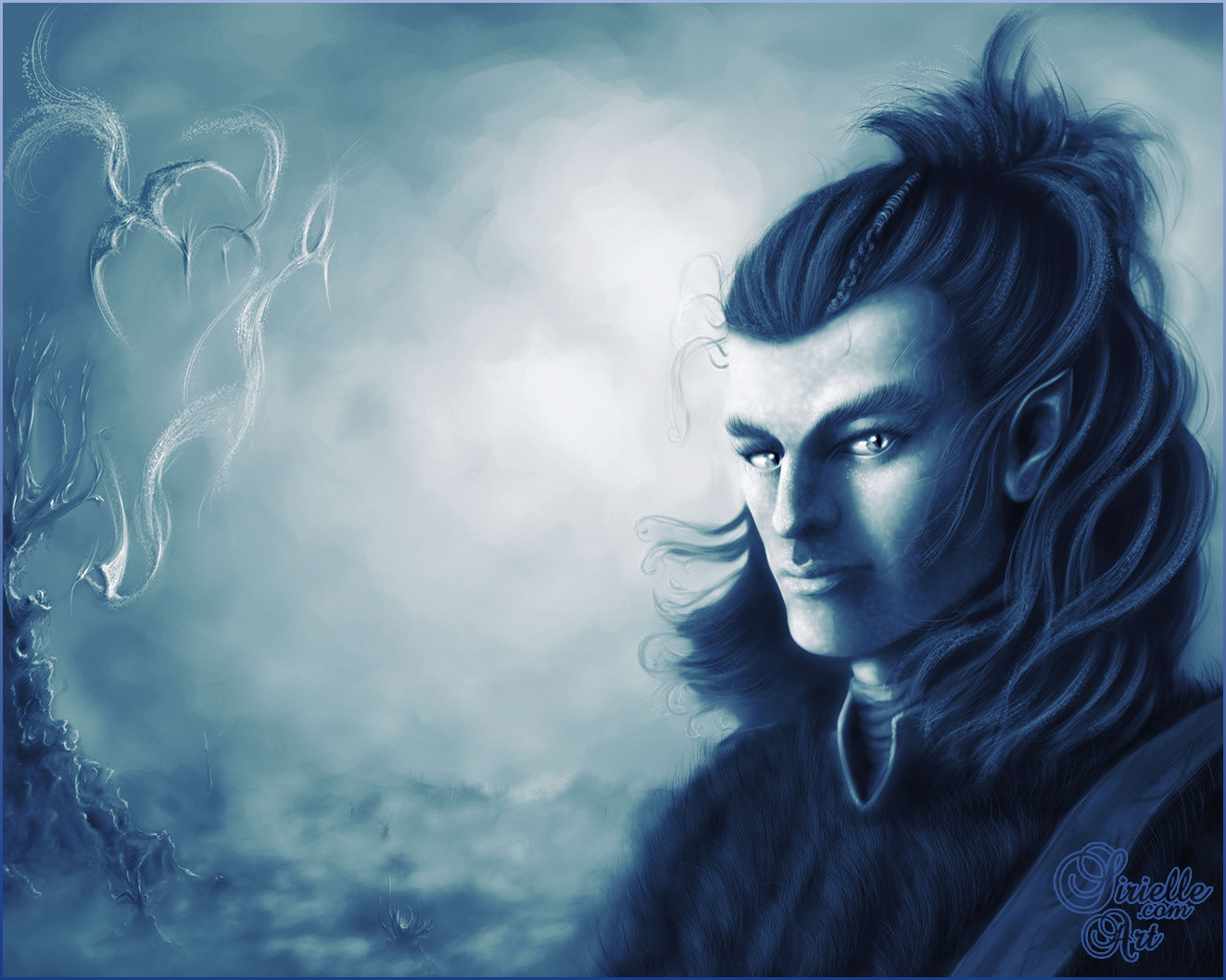 Wild Elf hunter (blue2) (2008/2009)