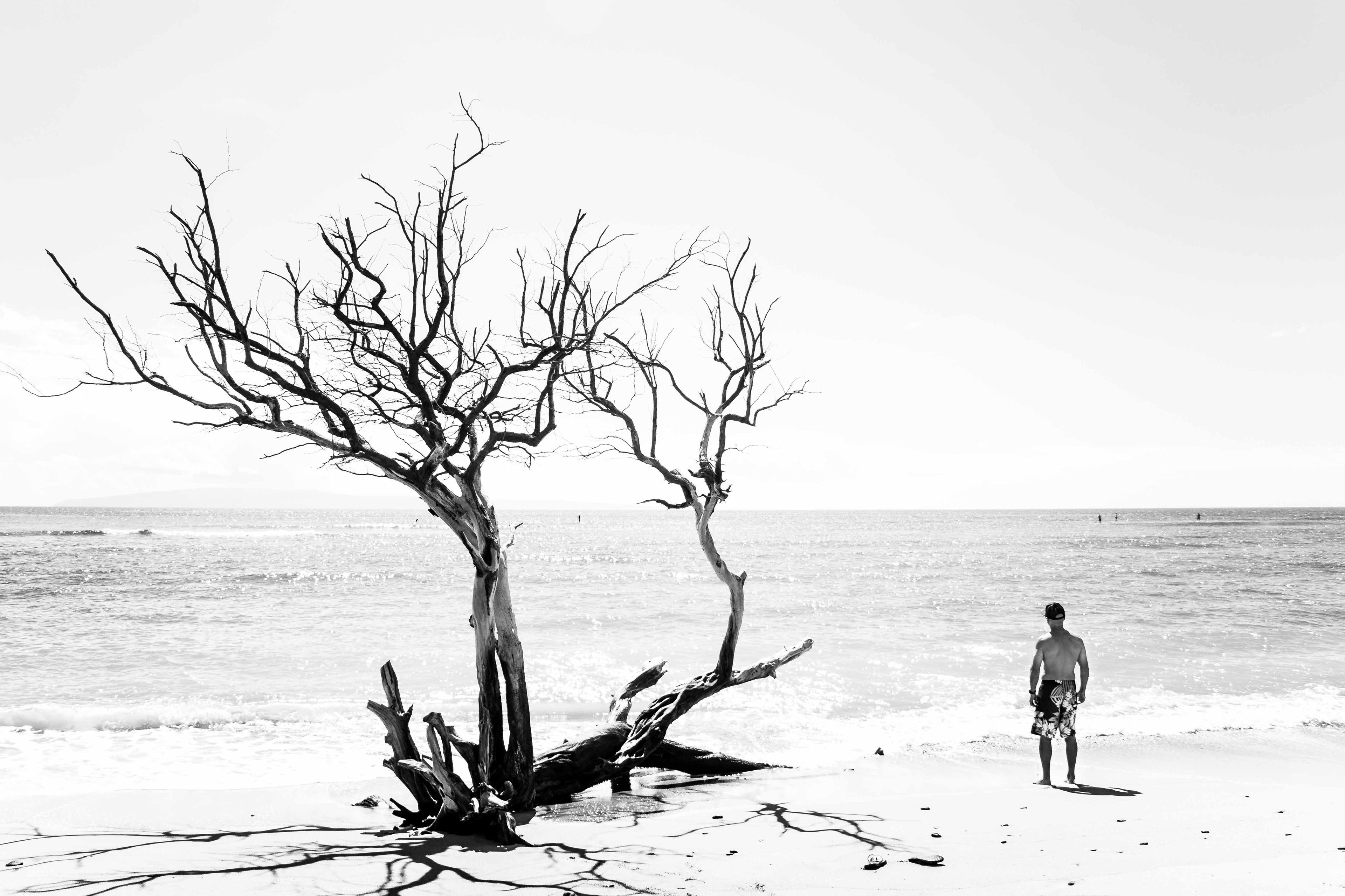 Maui, Hawaii, United States