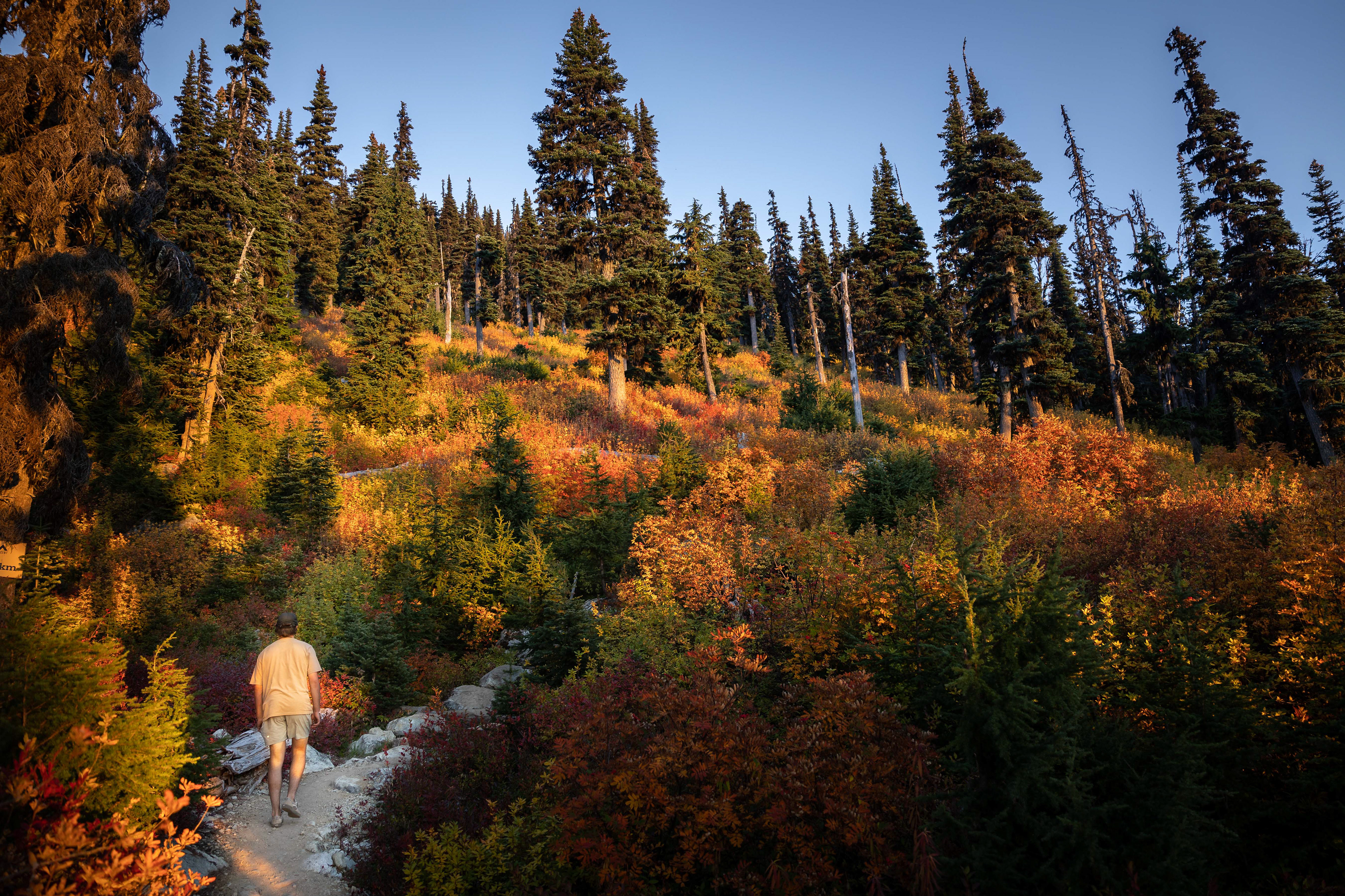 Whistler, British Columbia