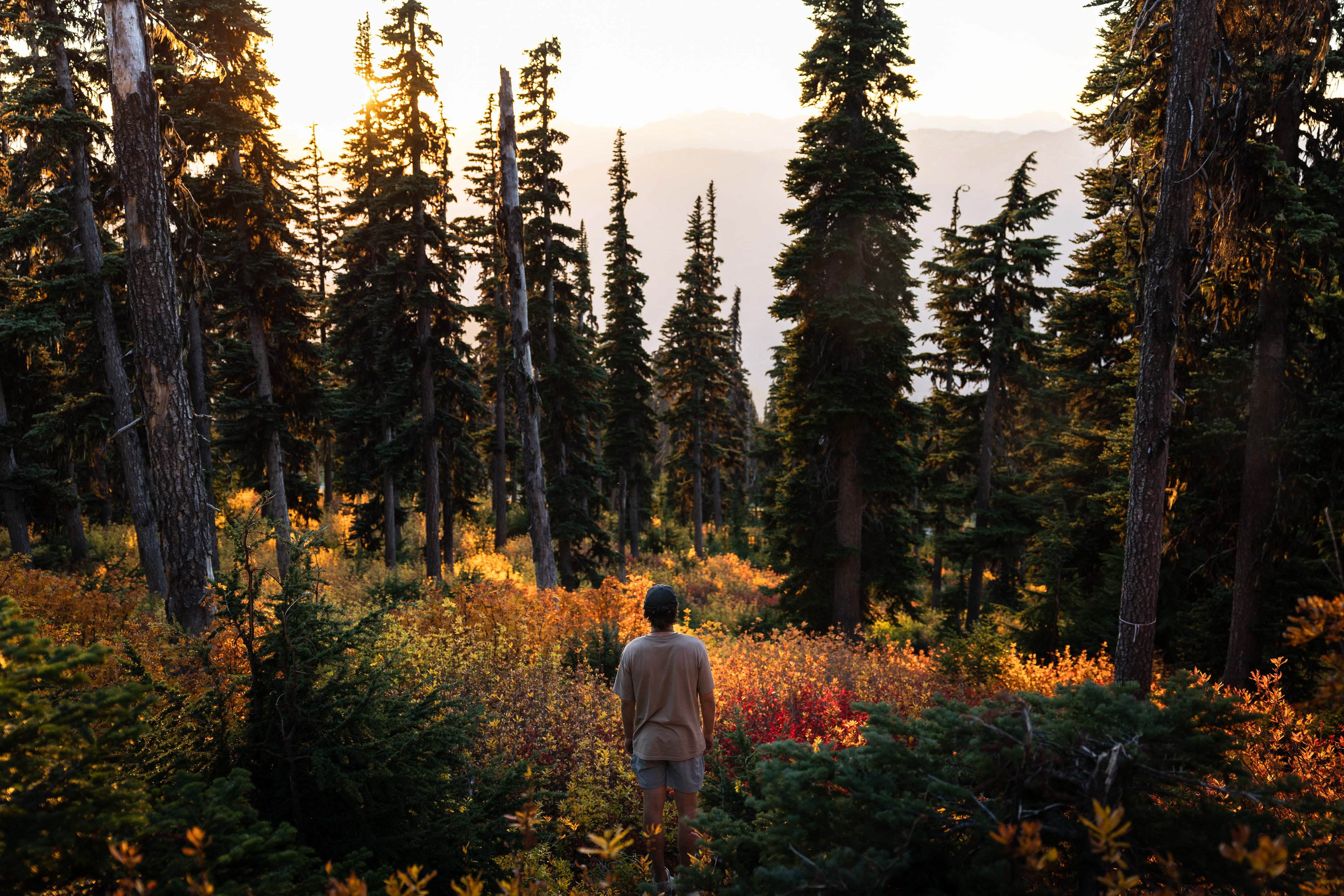 Whistler, British Columbia