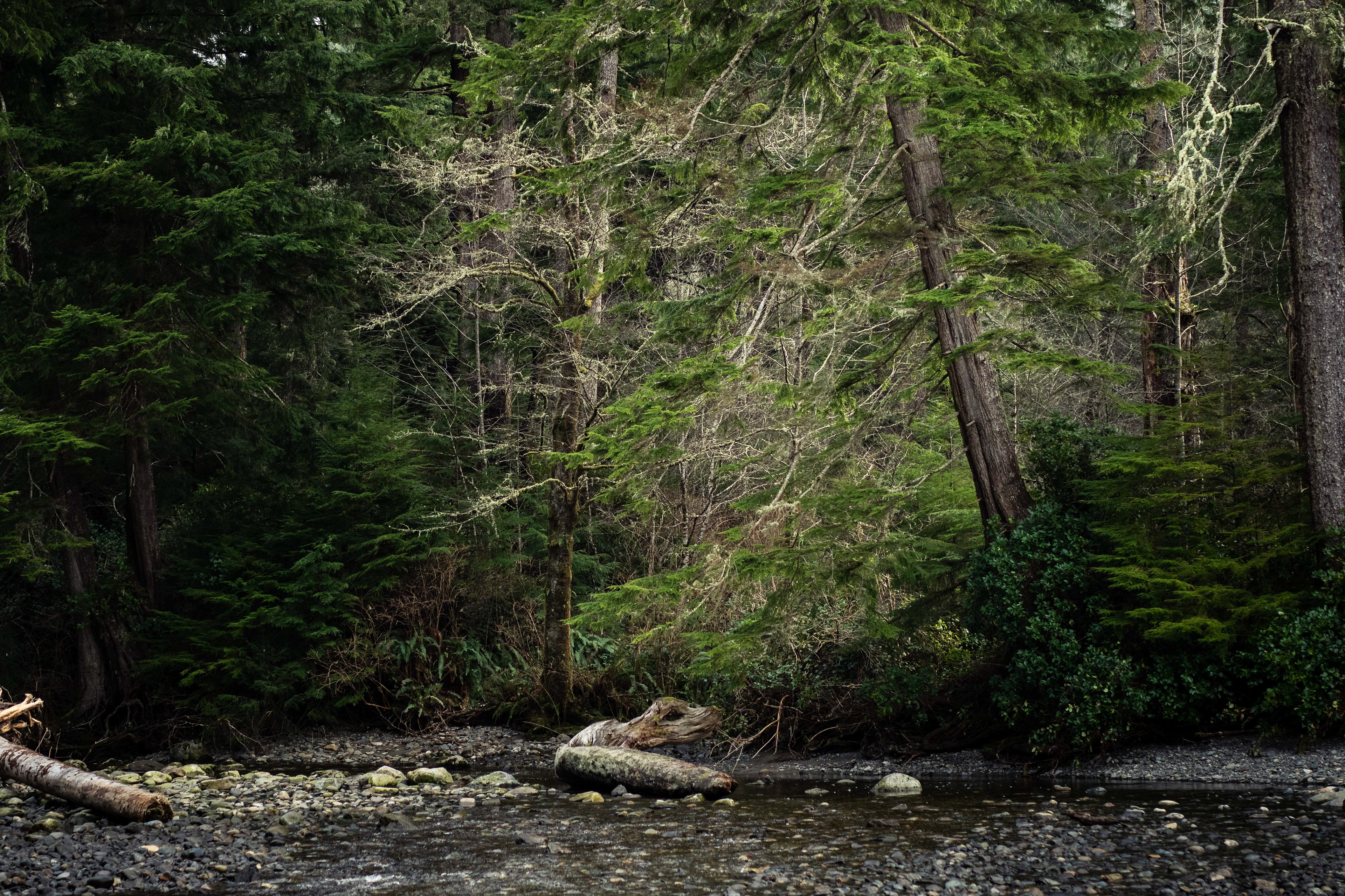 Sombrio Beach, British Columbia