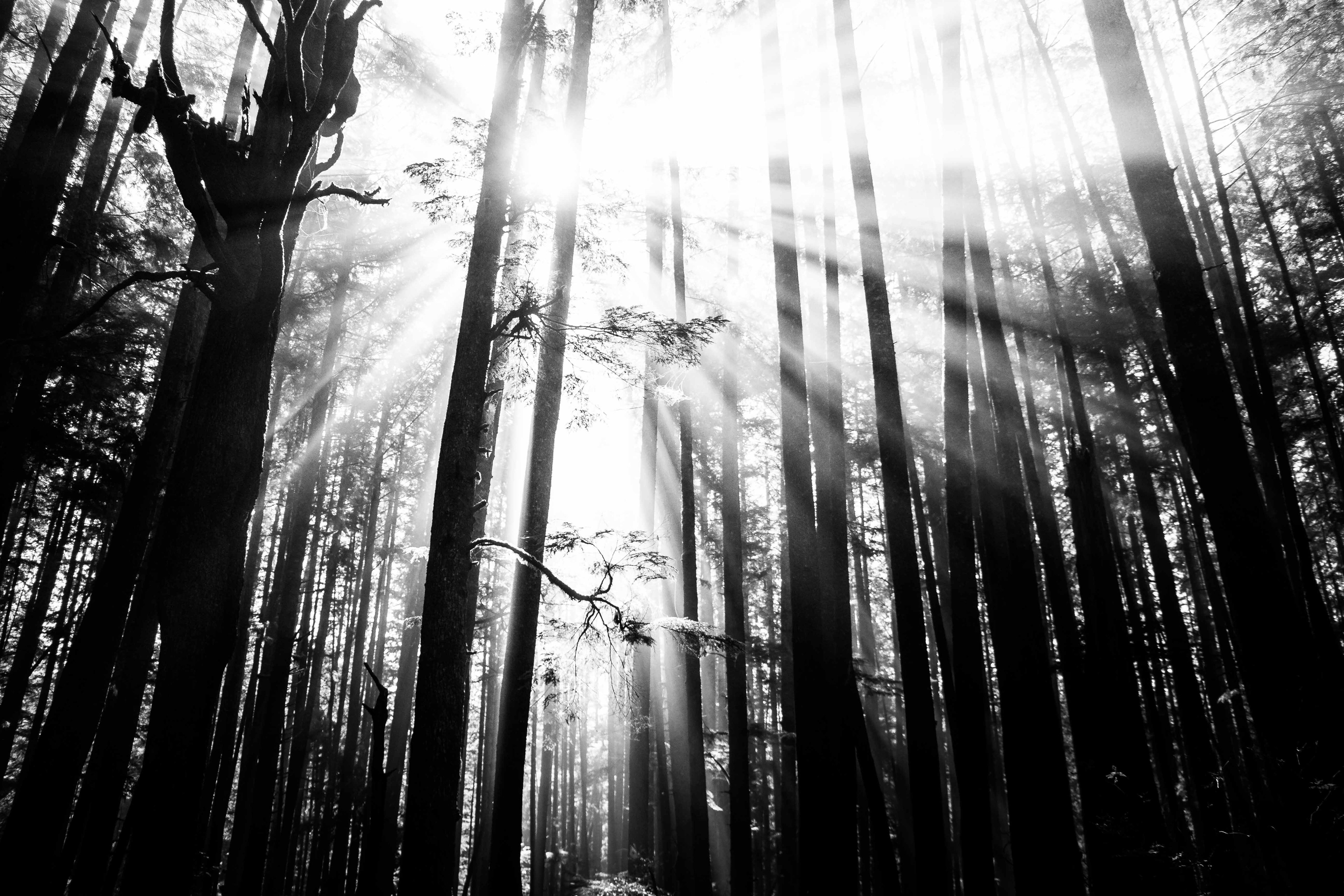 Mystic Beach, British Columbia