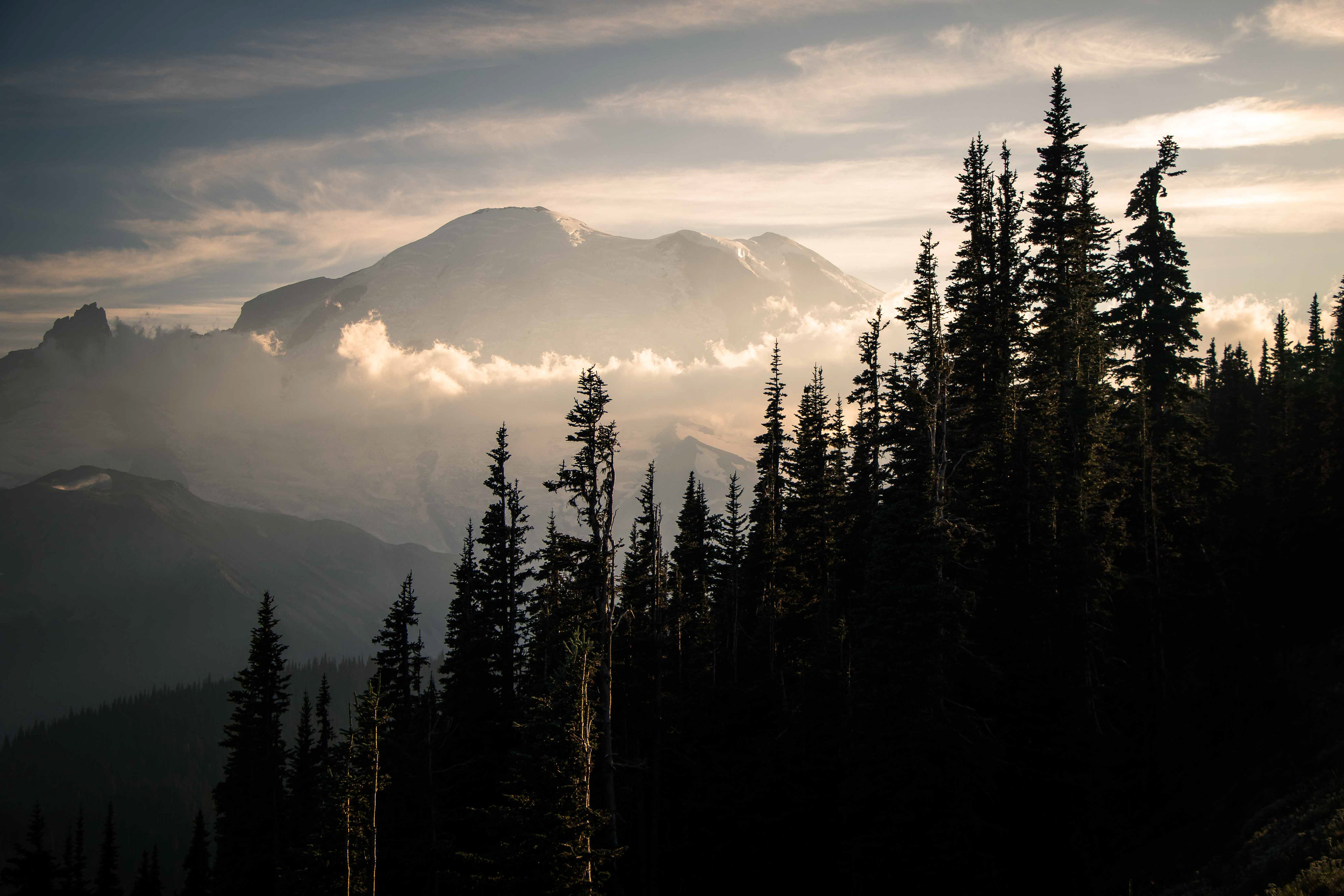 Mt. Rainier National Park, Washington, United States