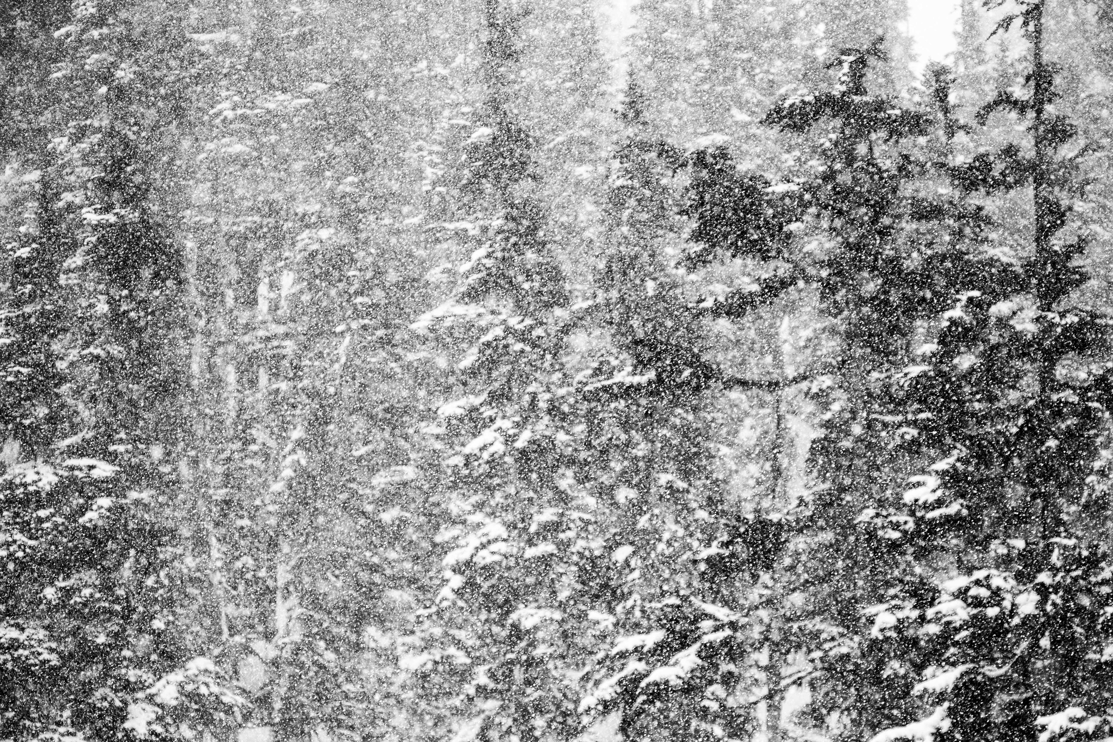 Whistler, British Columbia