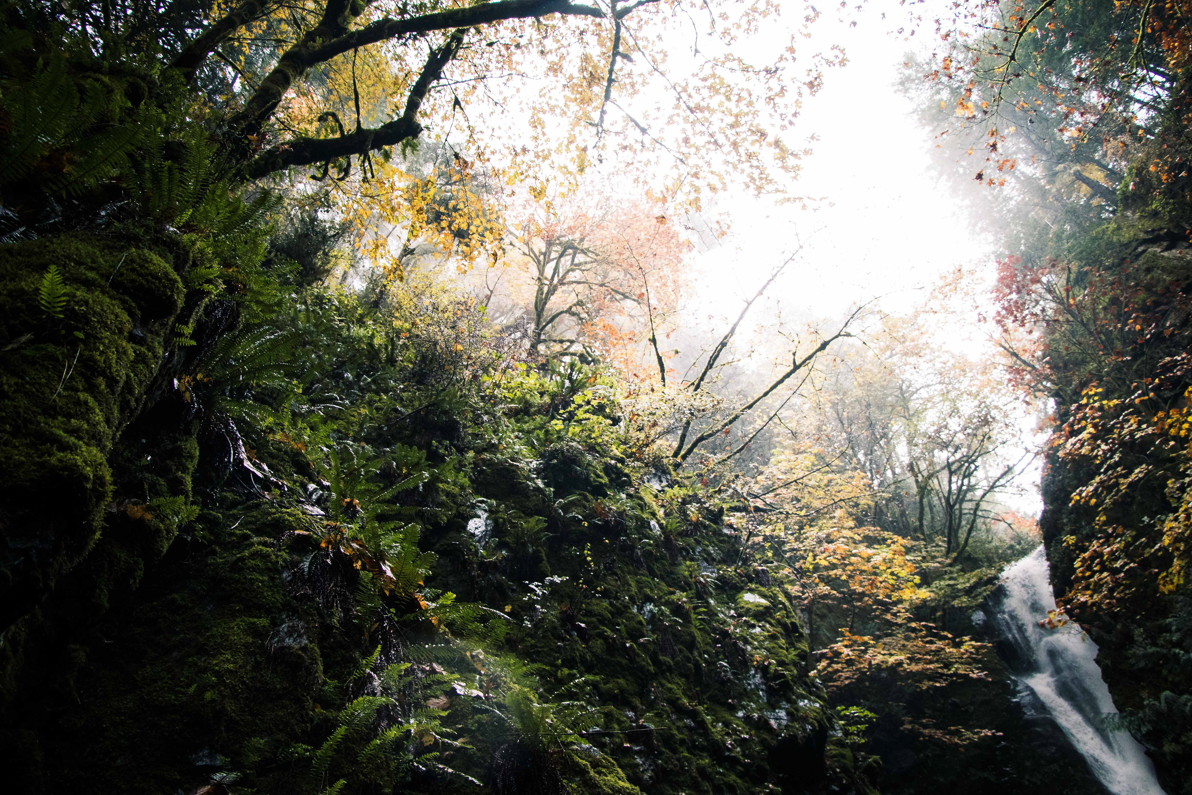 Victoria, British Columbia