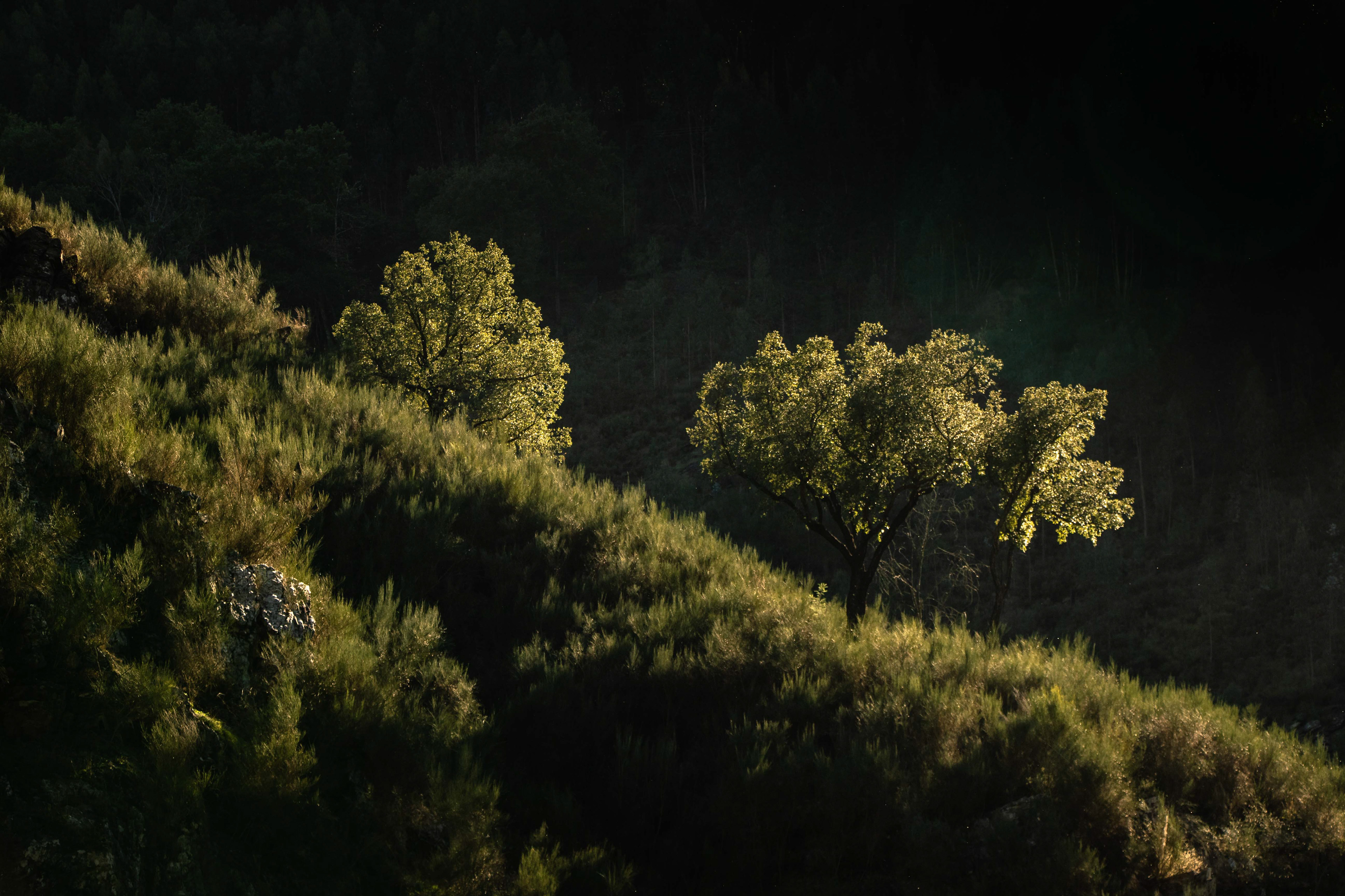 Douro Valley, Portugal