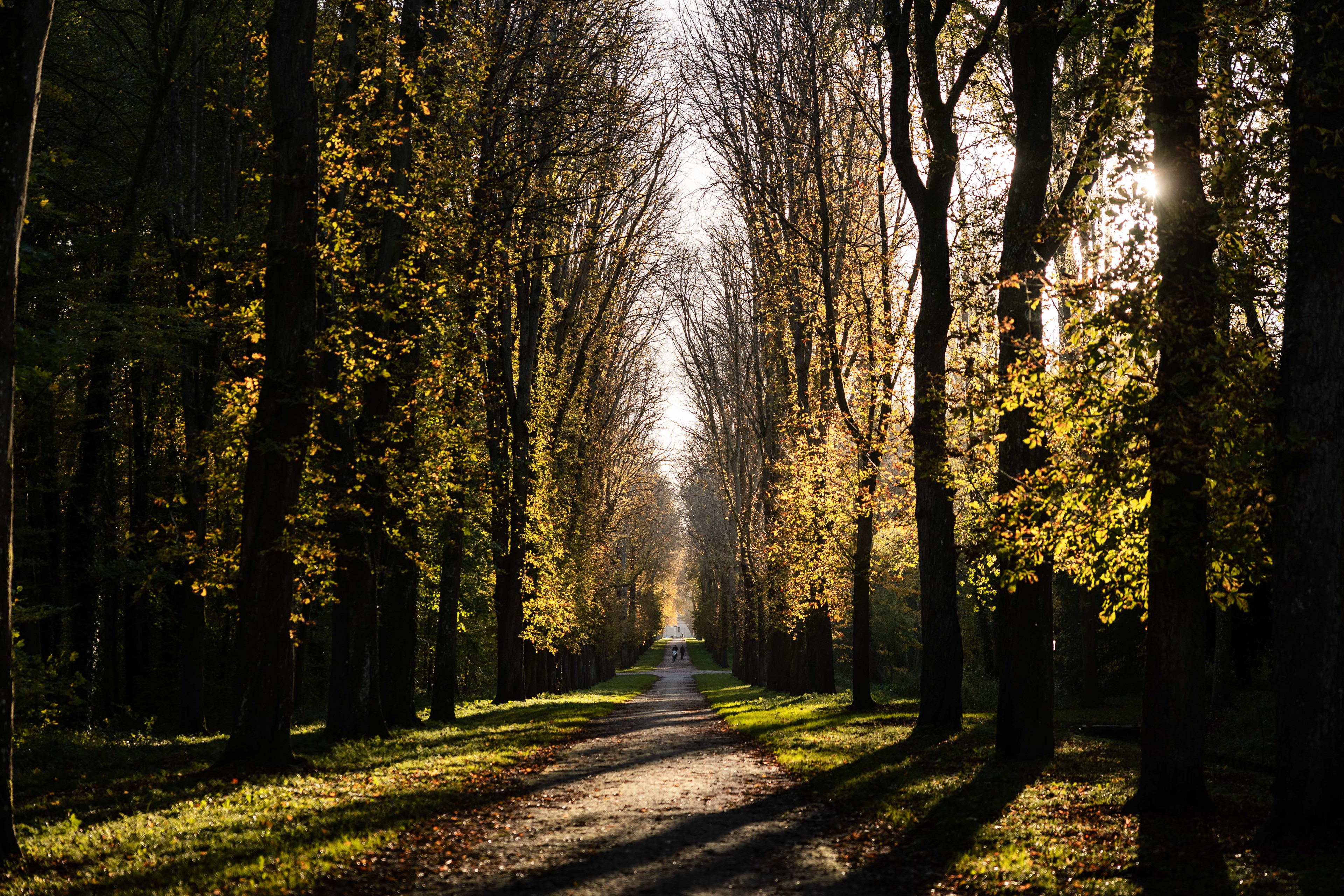 Fontainebleau