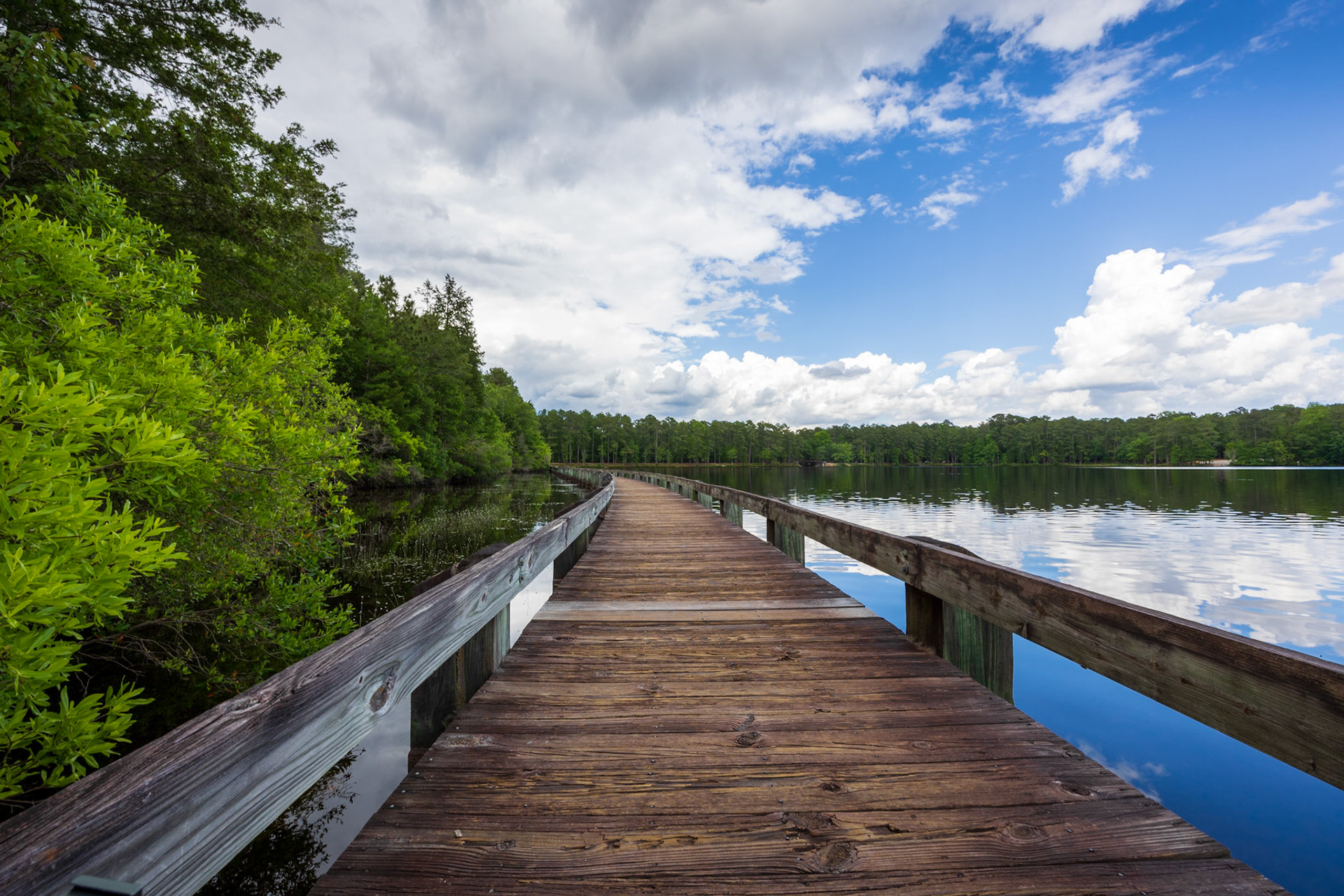 Frank Raiac Photography - Cheraw State Park