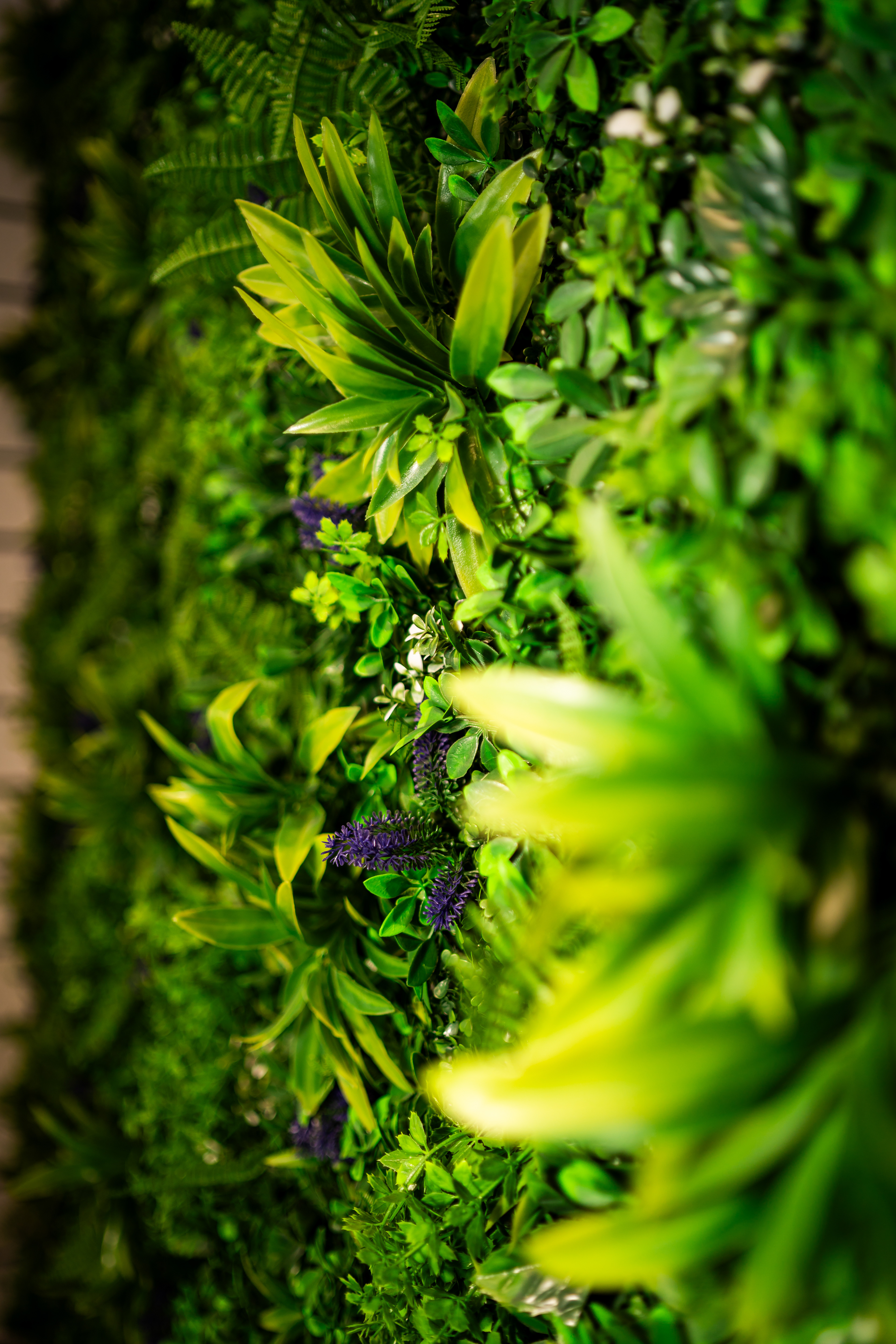 Modernes Interior-Design im Business-Umfeld: Detailaufnahme einer grünen Pflanzenwand in der Handyklinik Bad Waldsee.