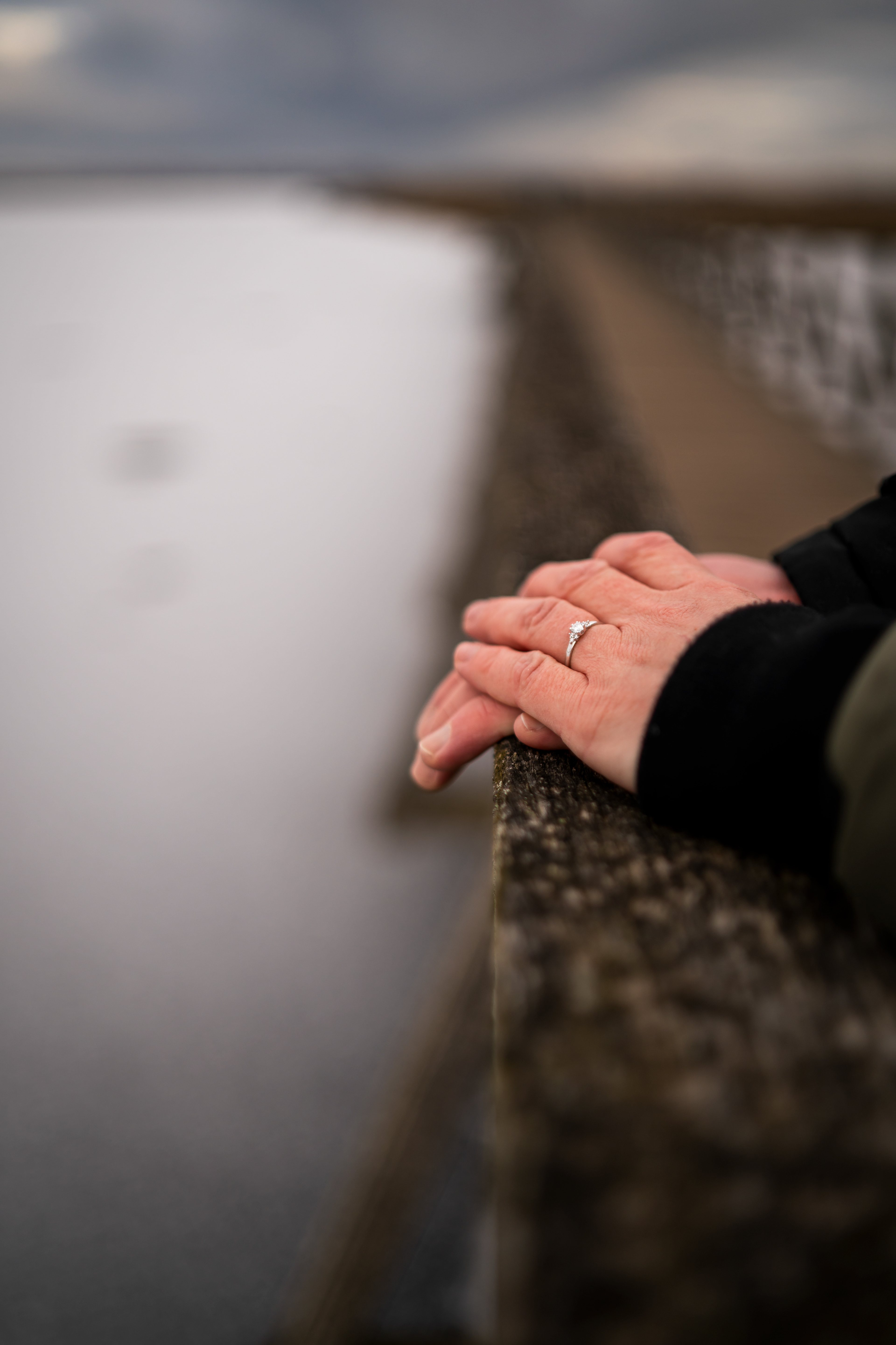 Paarfotos am Schilfgürtel des Federseestegs in Bad Buchau, aufgenommen von Mfuchsloch Fotografie am Federsee.