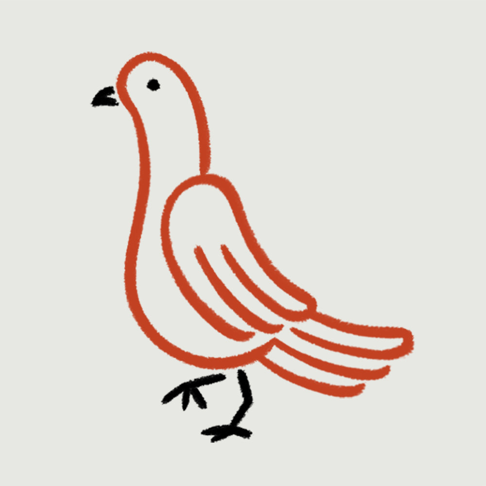 PIGEON, digital brushes, 2021