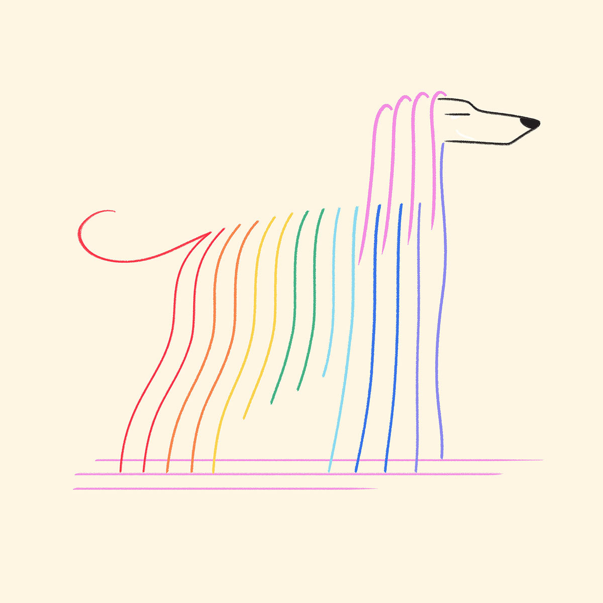 AFGHAN HOUND, digital brushes, 2023