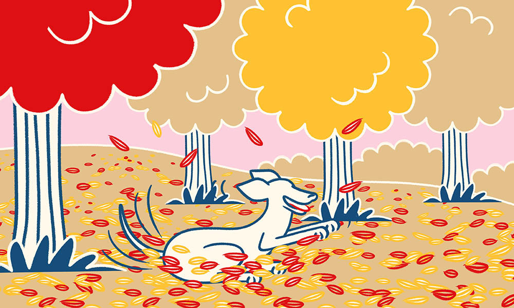 SEPTEMBER - Answer