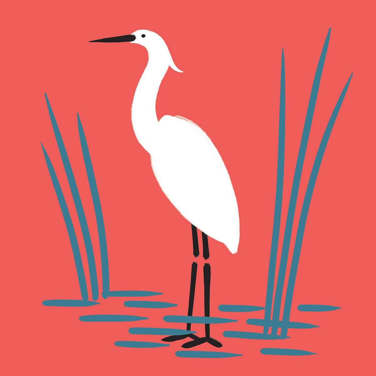 EGRET, digital brushes, 2021