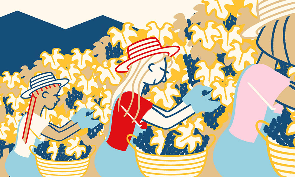 NOVEMBER QUESTION, digital brushes, 2025