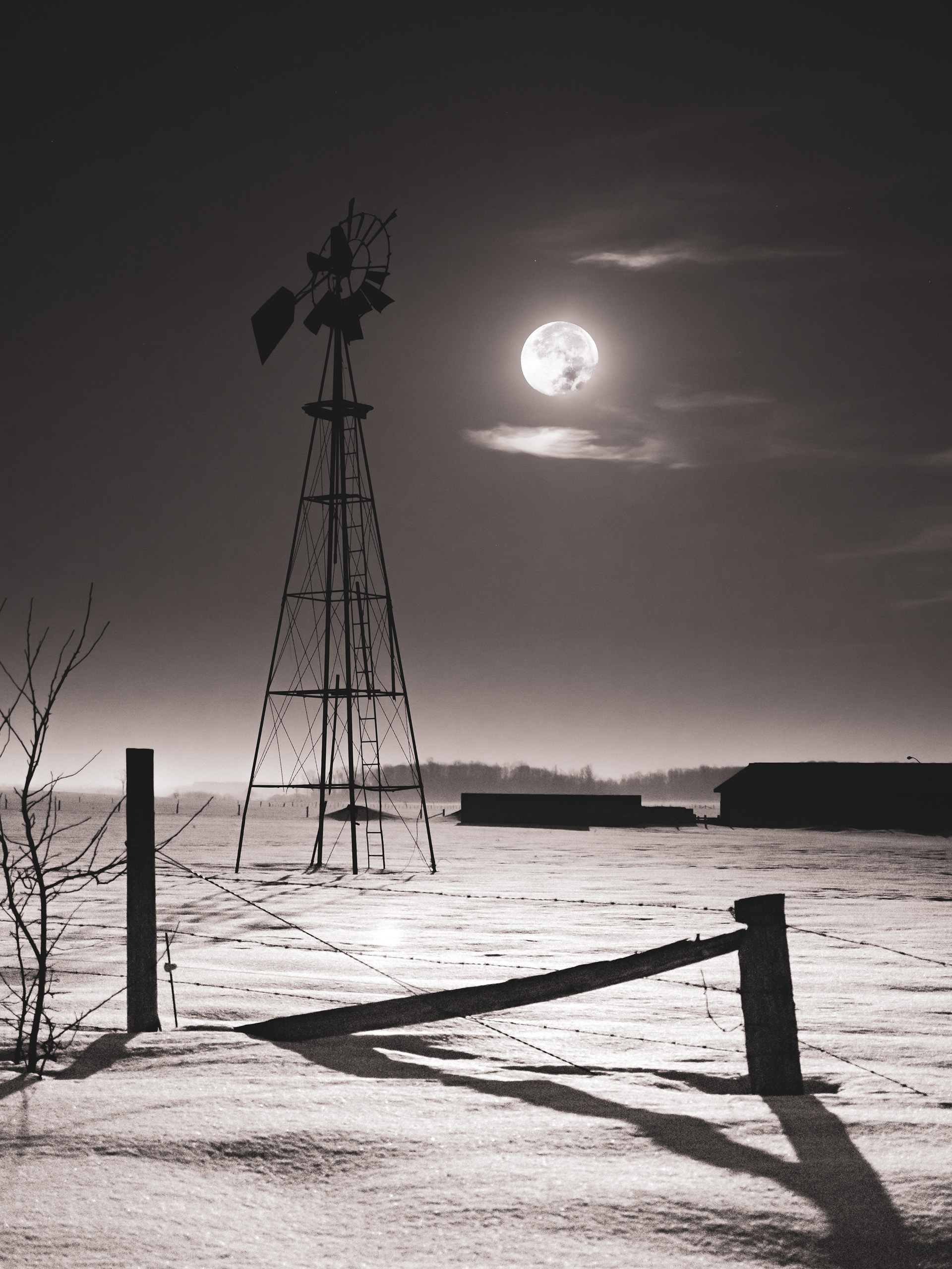 Night Light