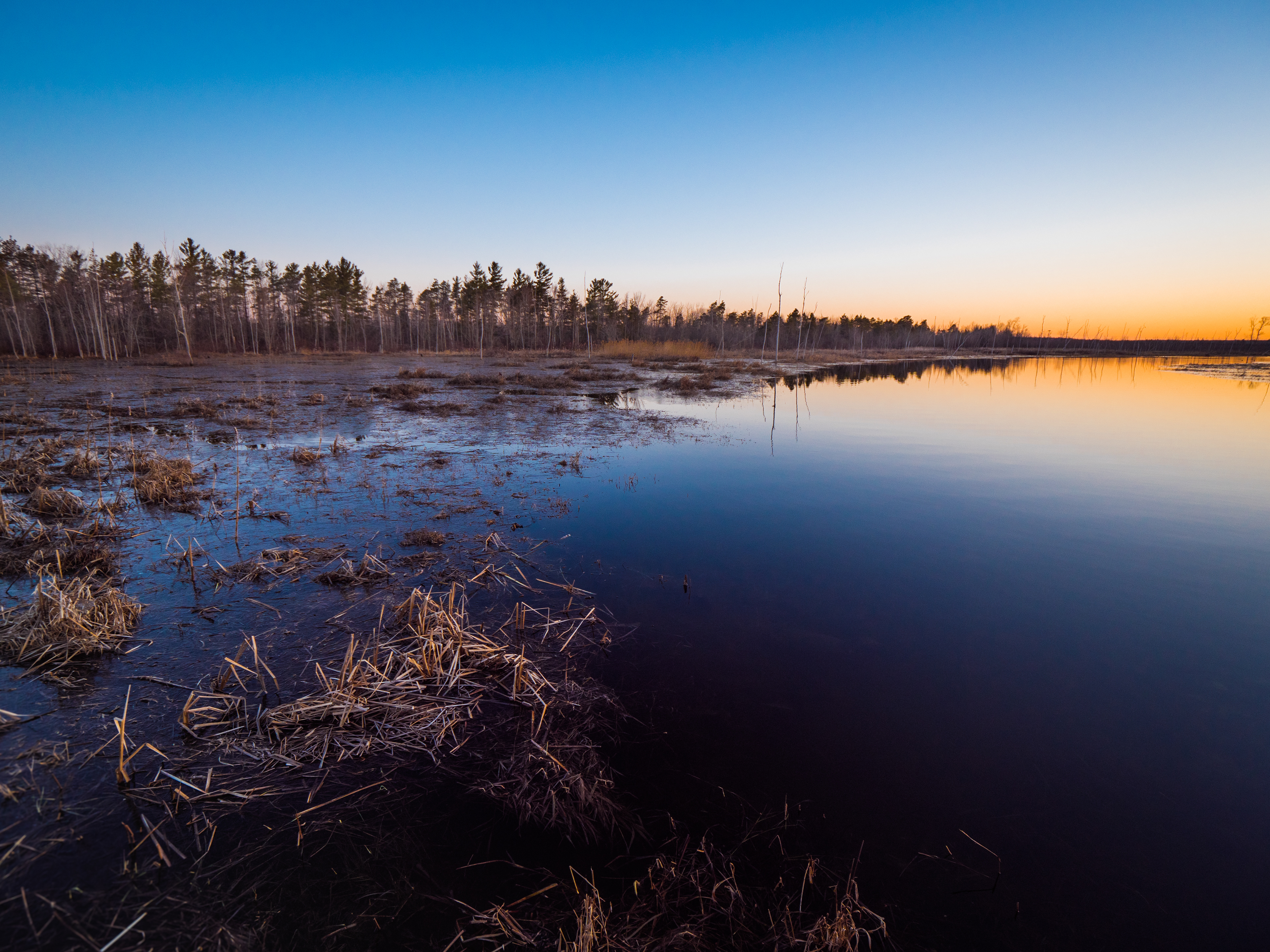 Sunrise at Boat Lake