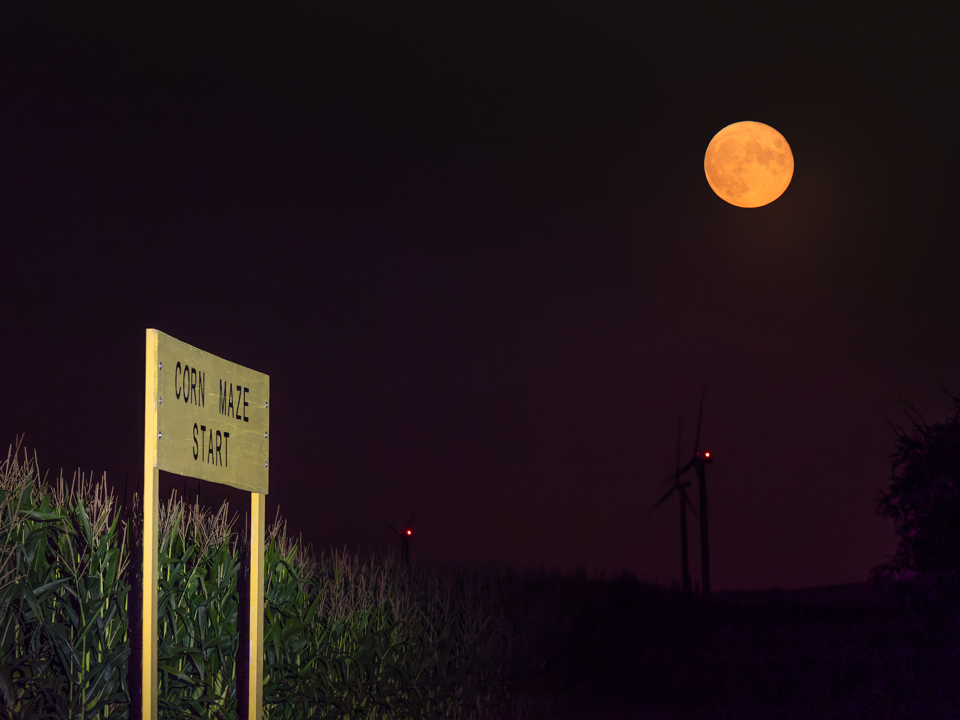 A Maze ing Corn Moon