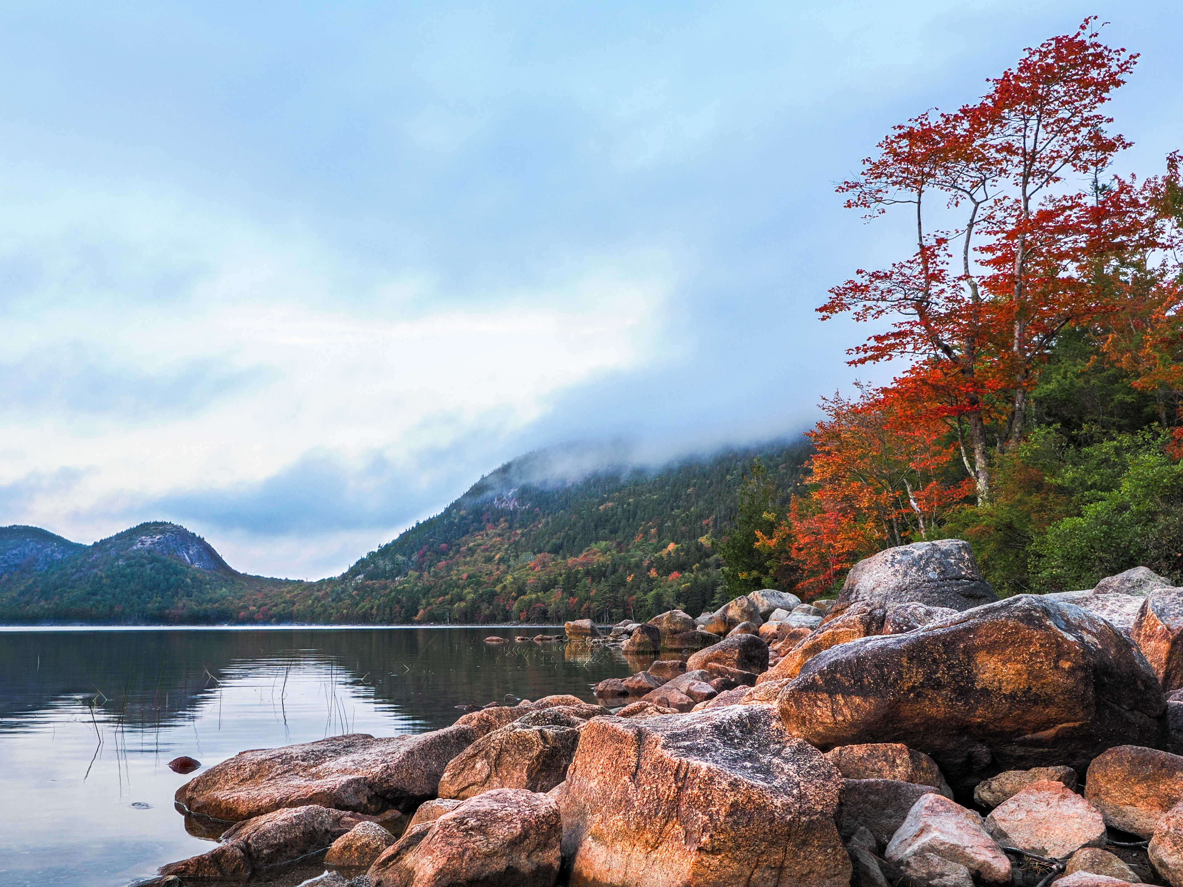Misty Mountain