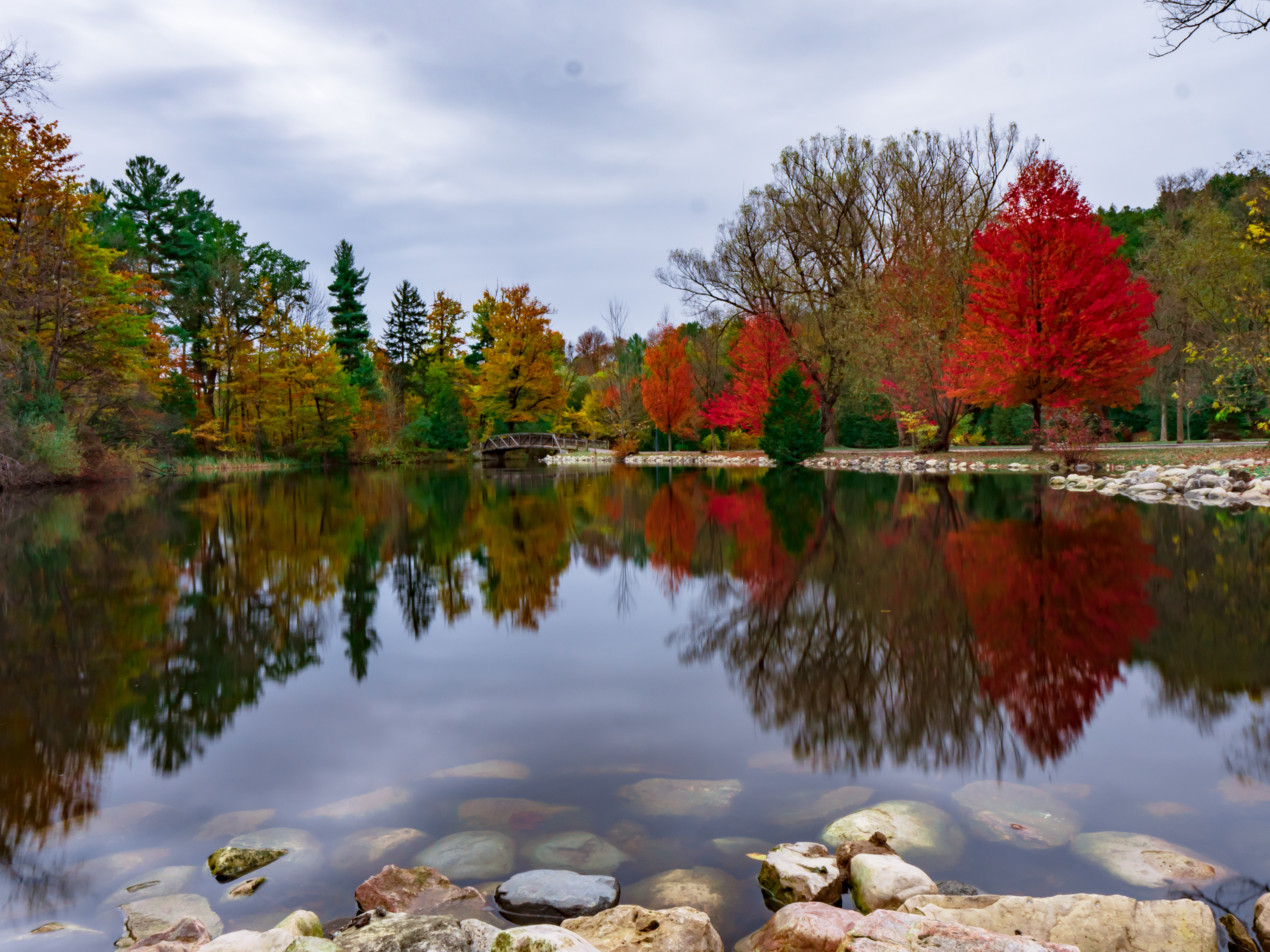 Reflections of Nature