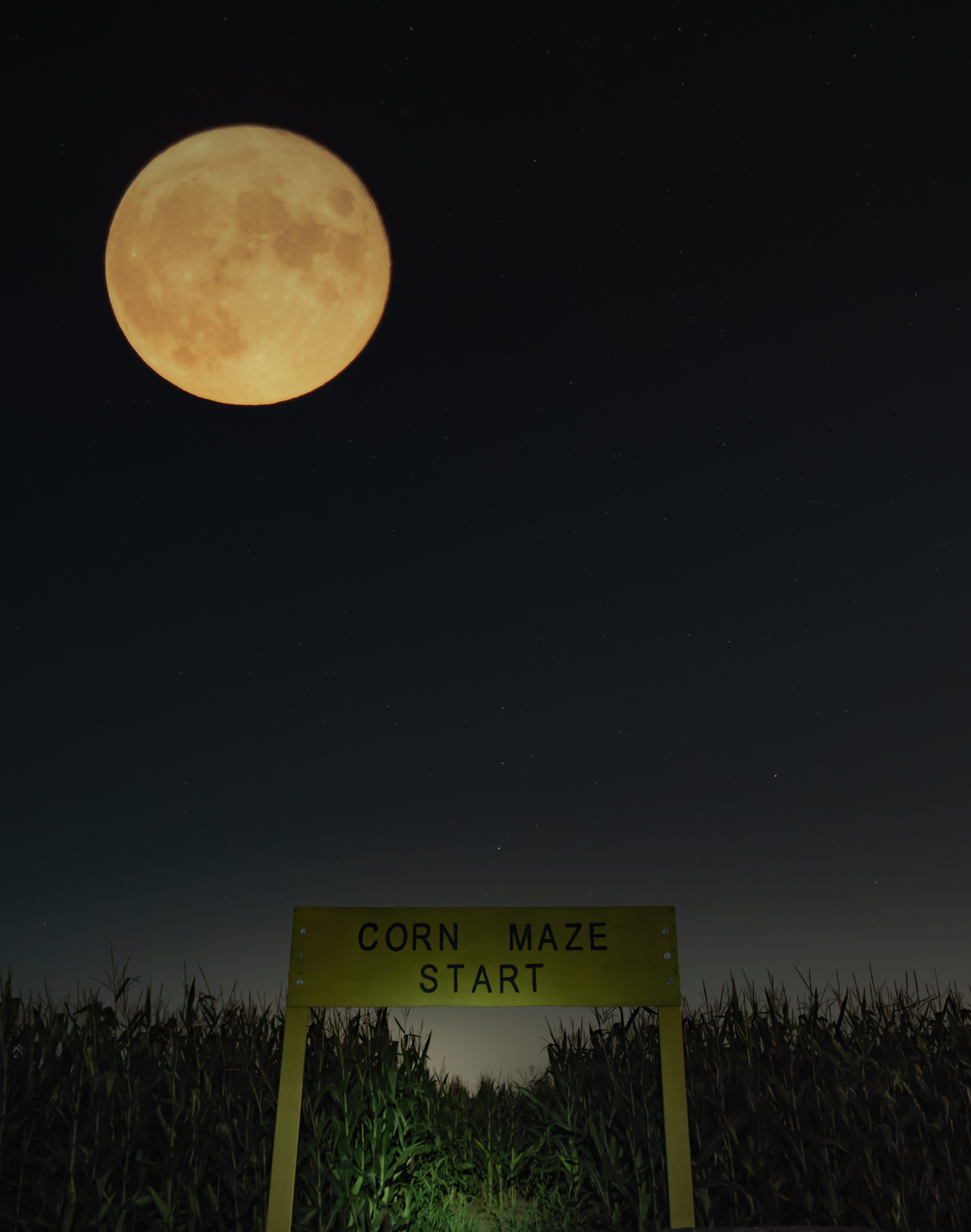 Start Here, If You Dare