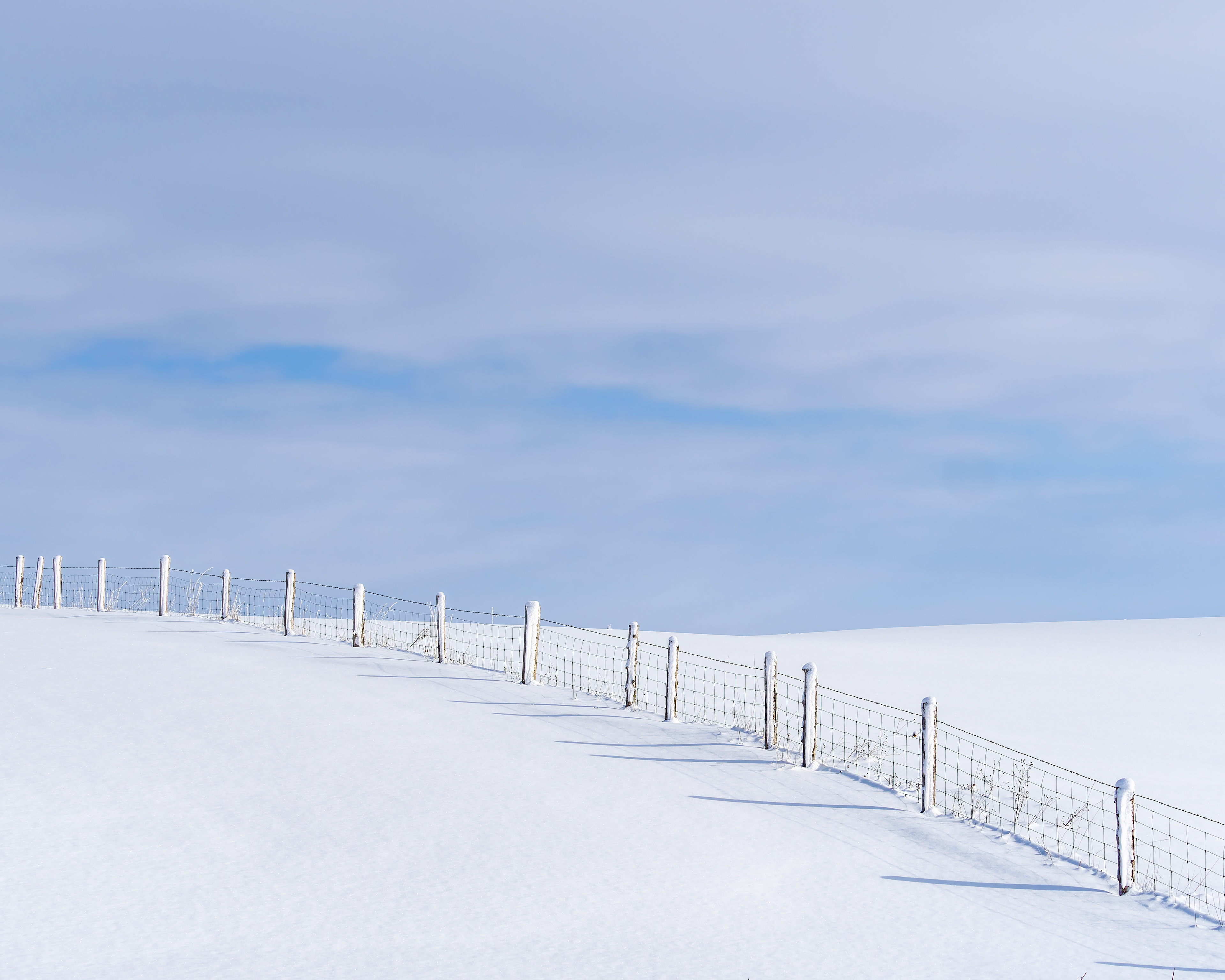 Dividing Fields