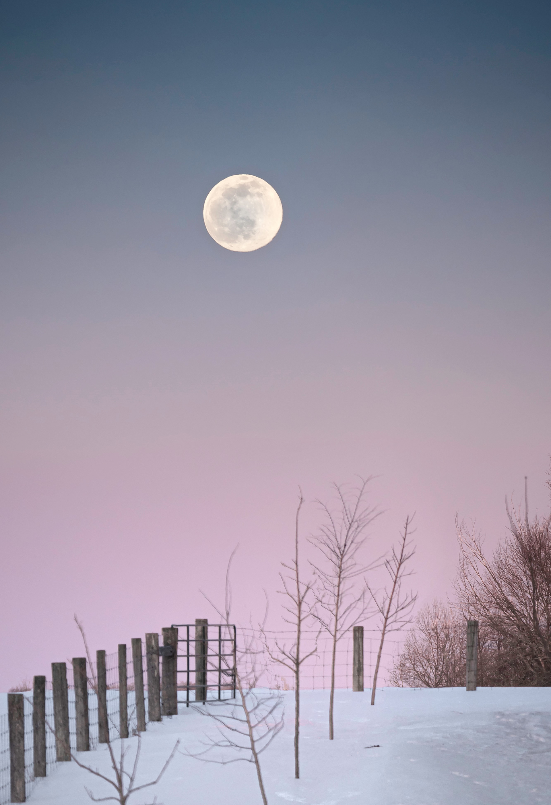 Rise Of The Snow Moon